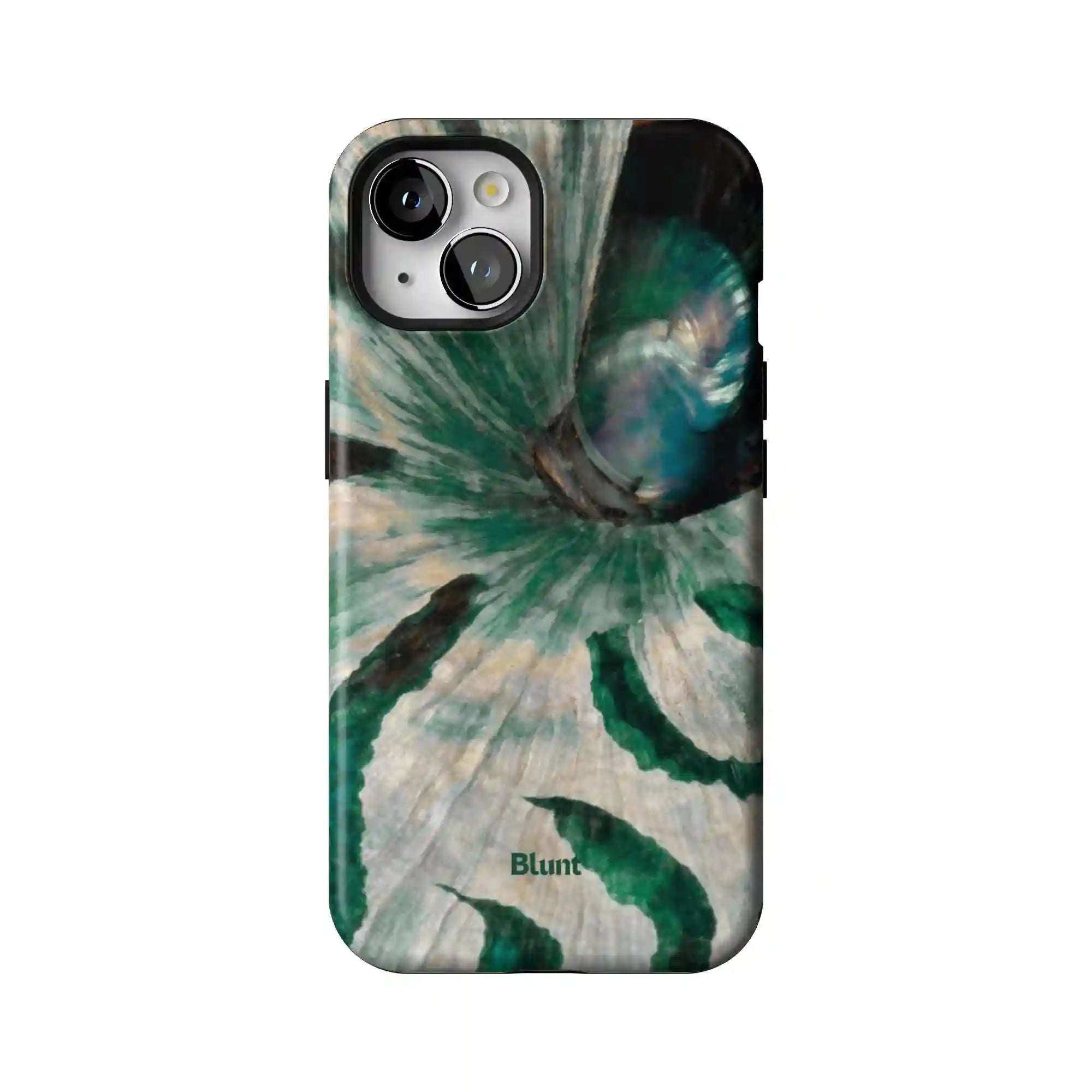 bluntcasesonline.com
