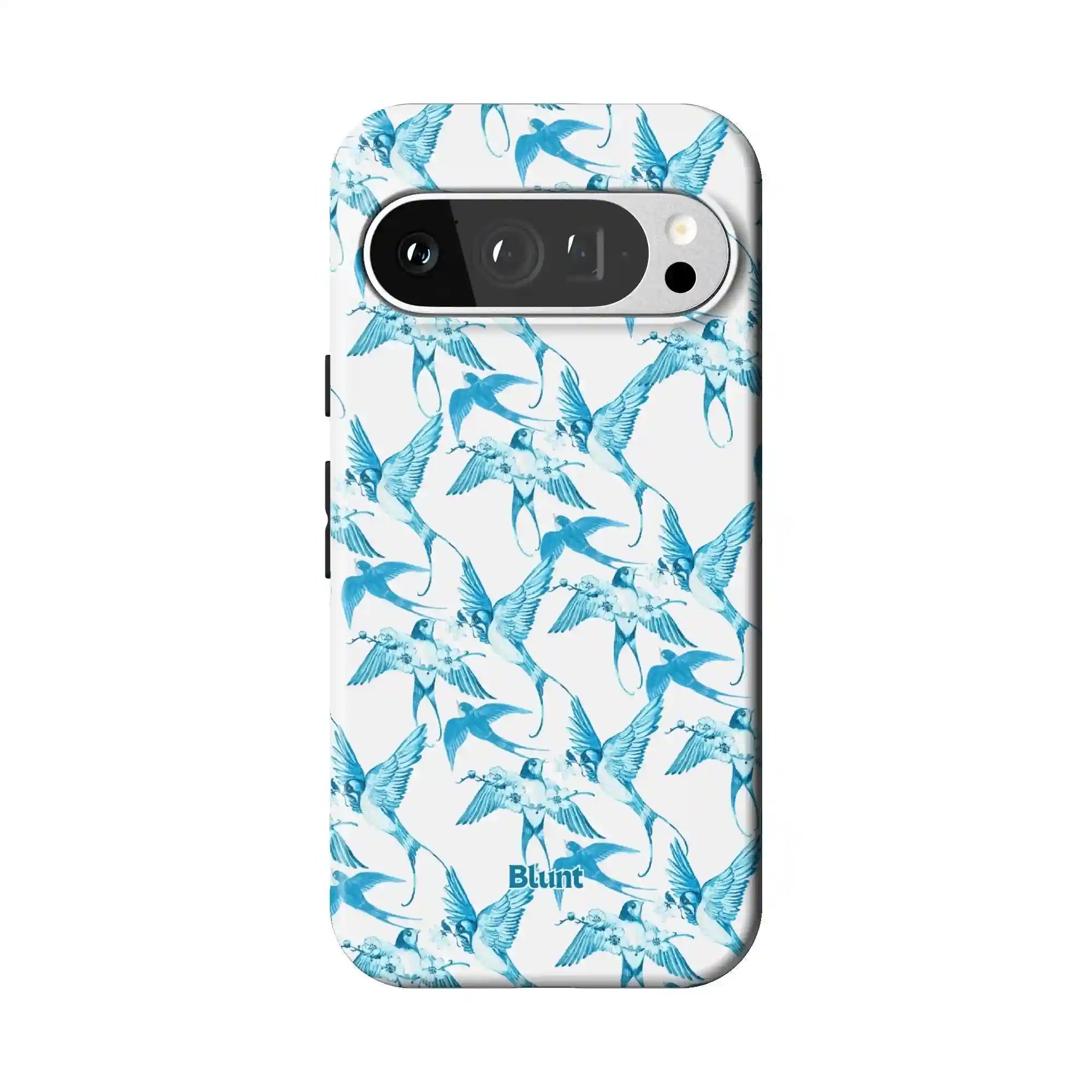 bluntcasesonline.com