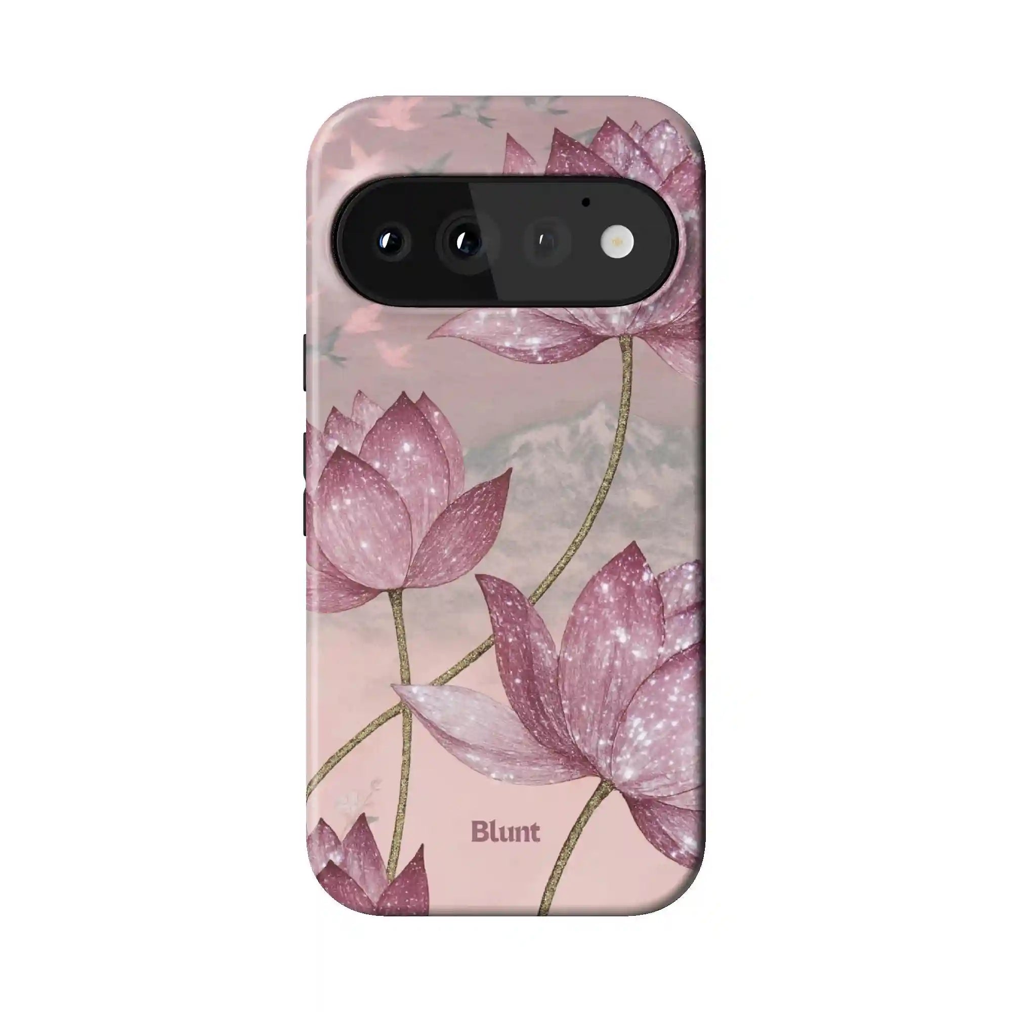 bluntcasesonline.com