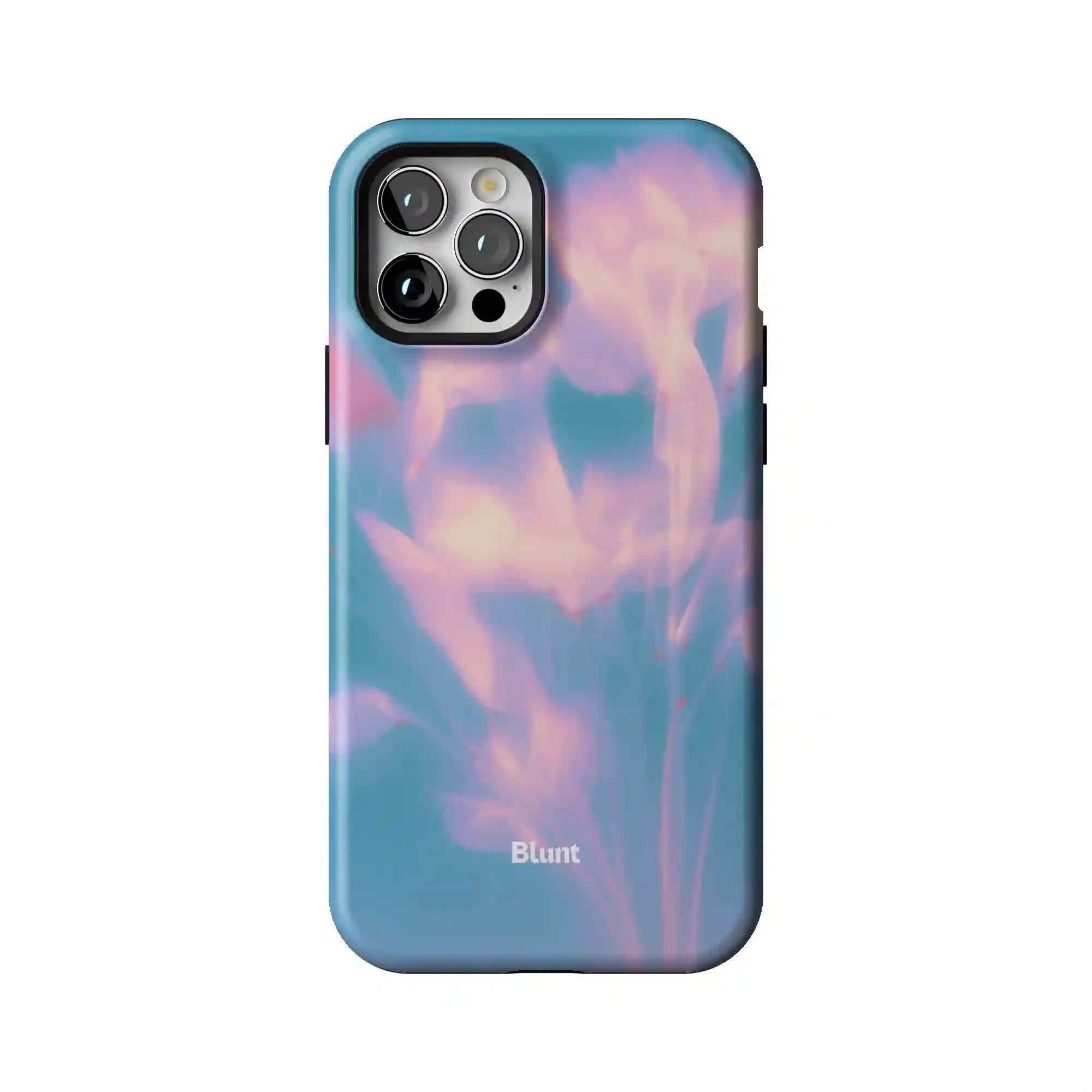 bluntcasesonline.com