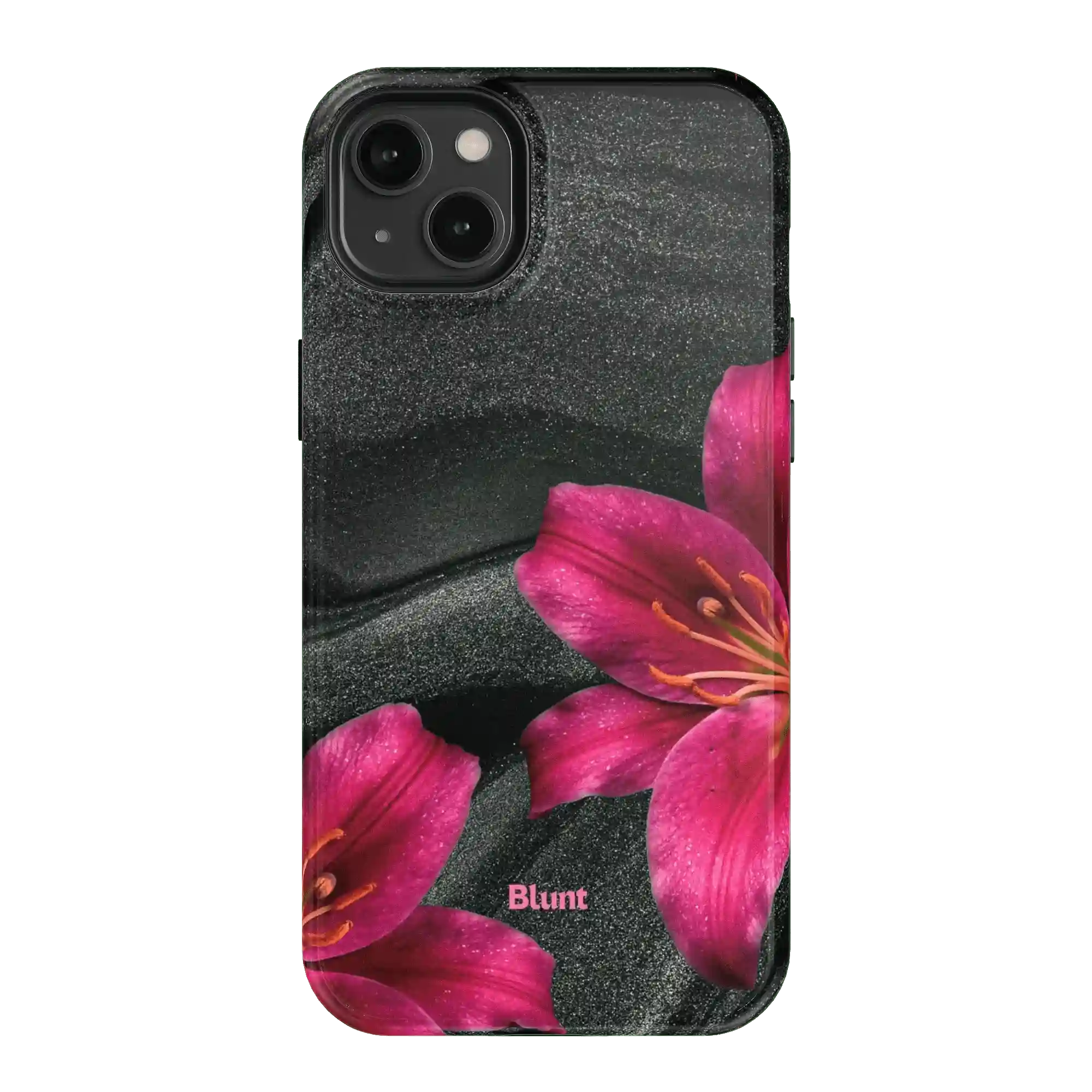 bluntcasesonline.com