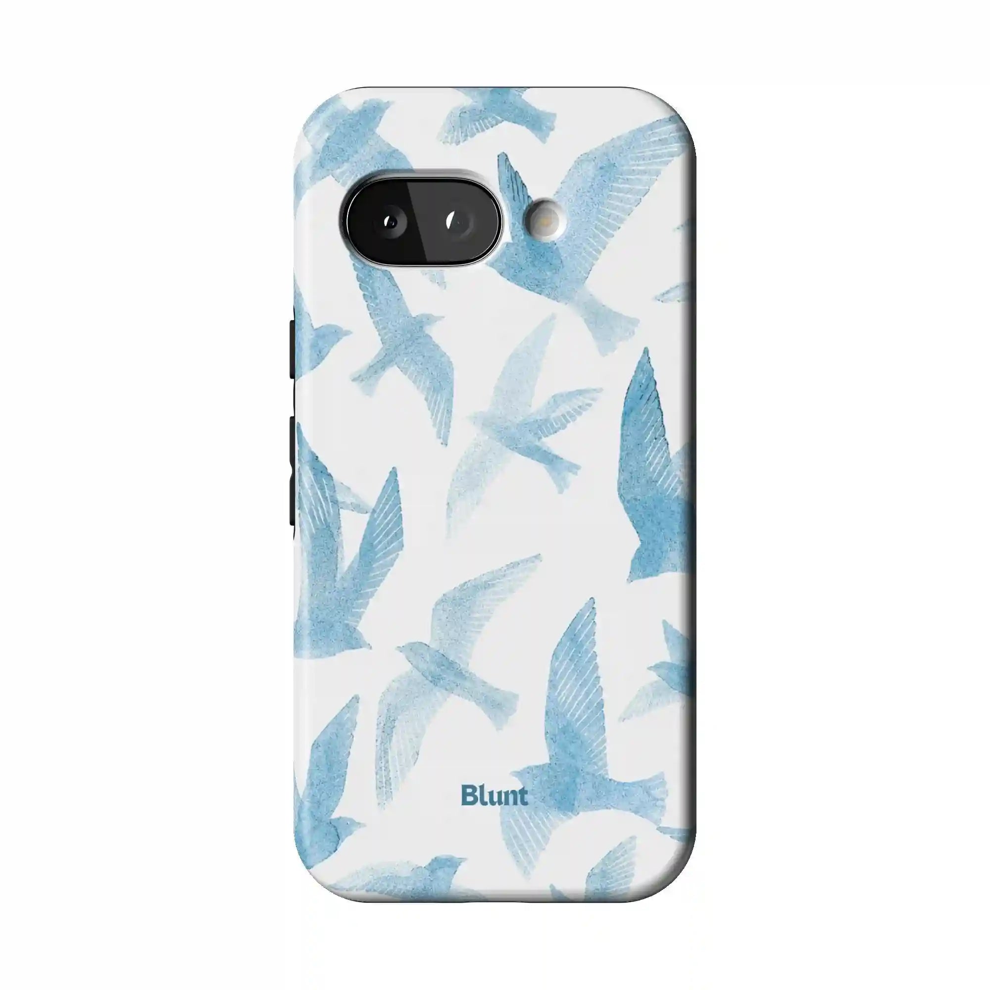 bluntcasesonline.com
