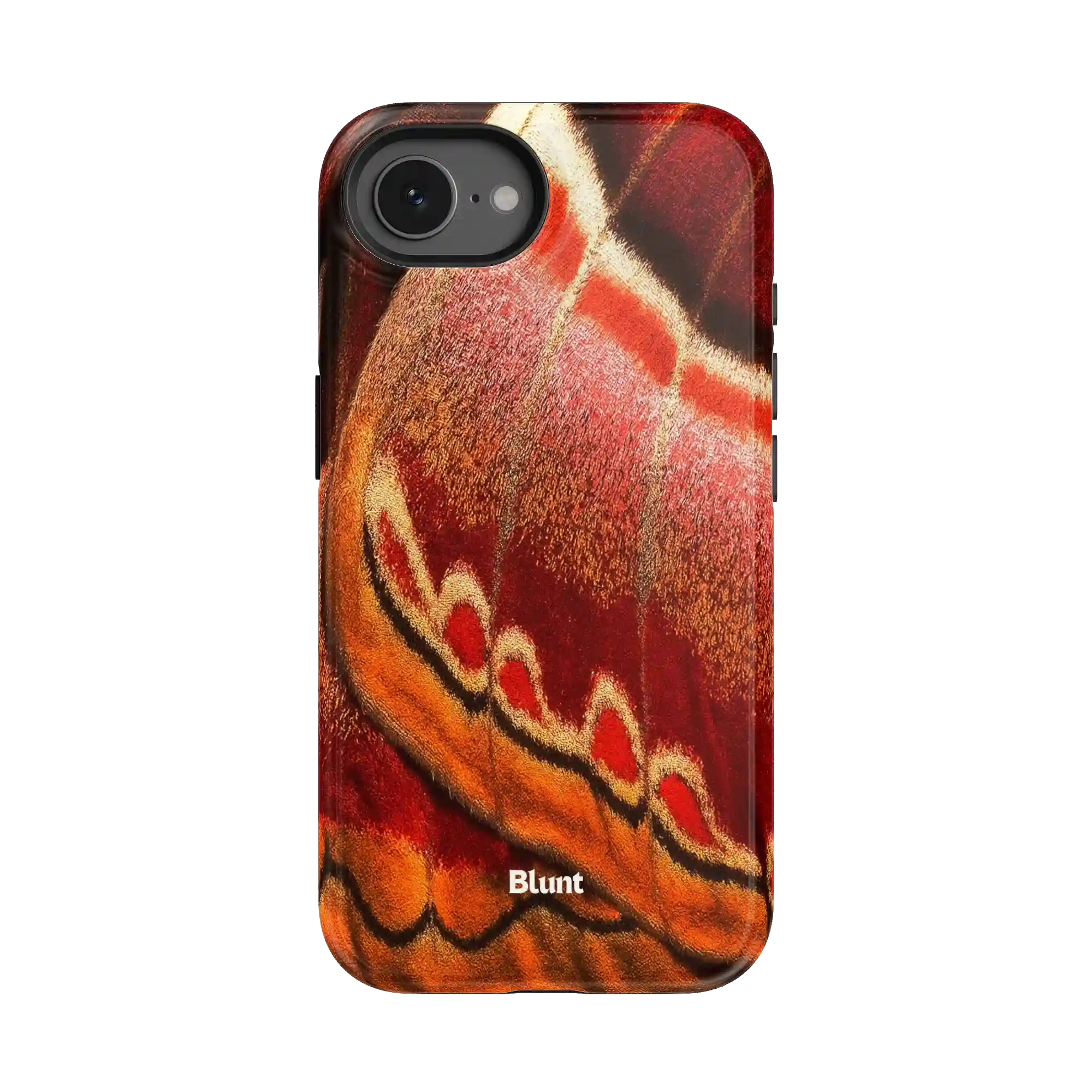 bluntcasesonline.com