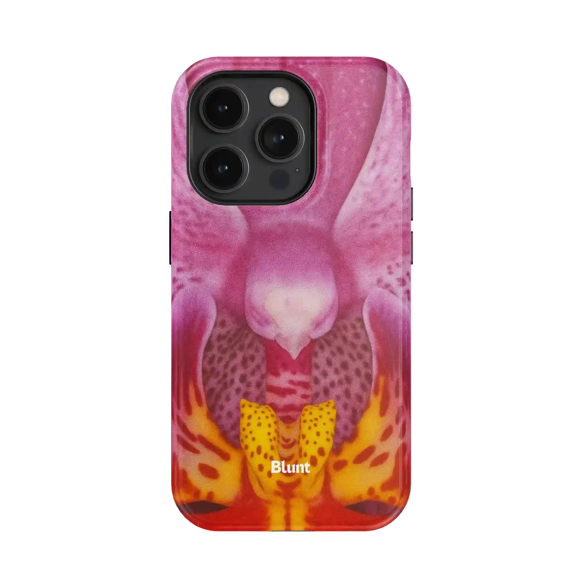 bluntcasesonline.com