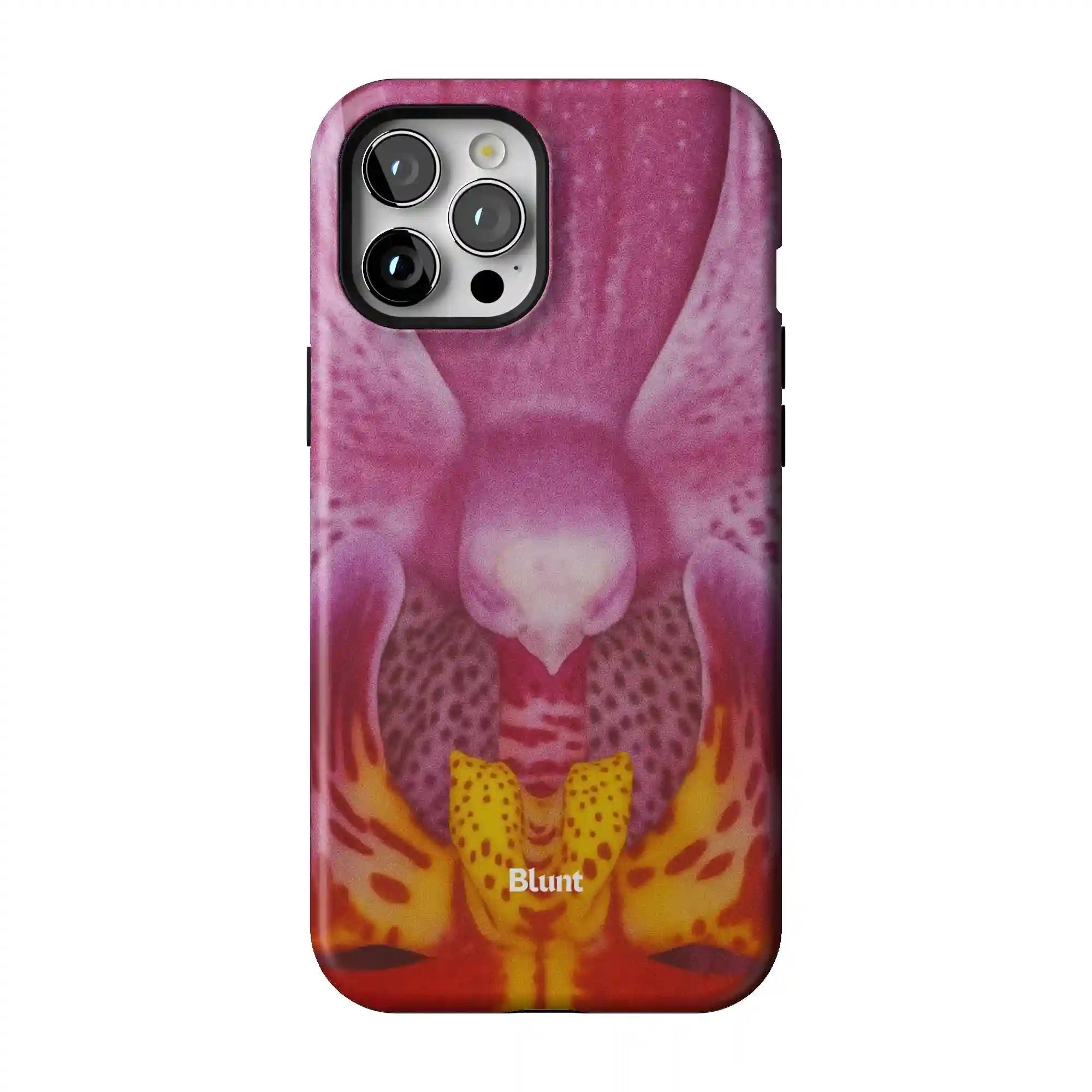 bluntcasesonline.com