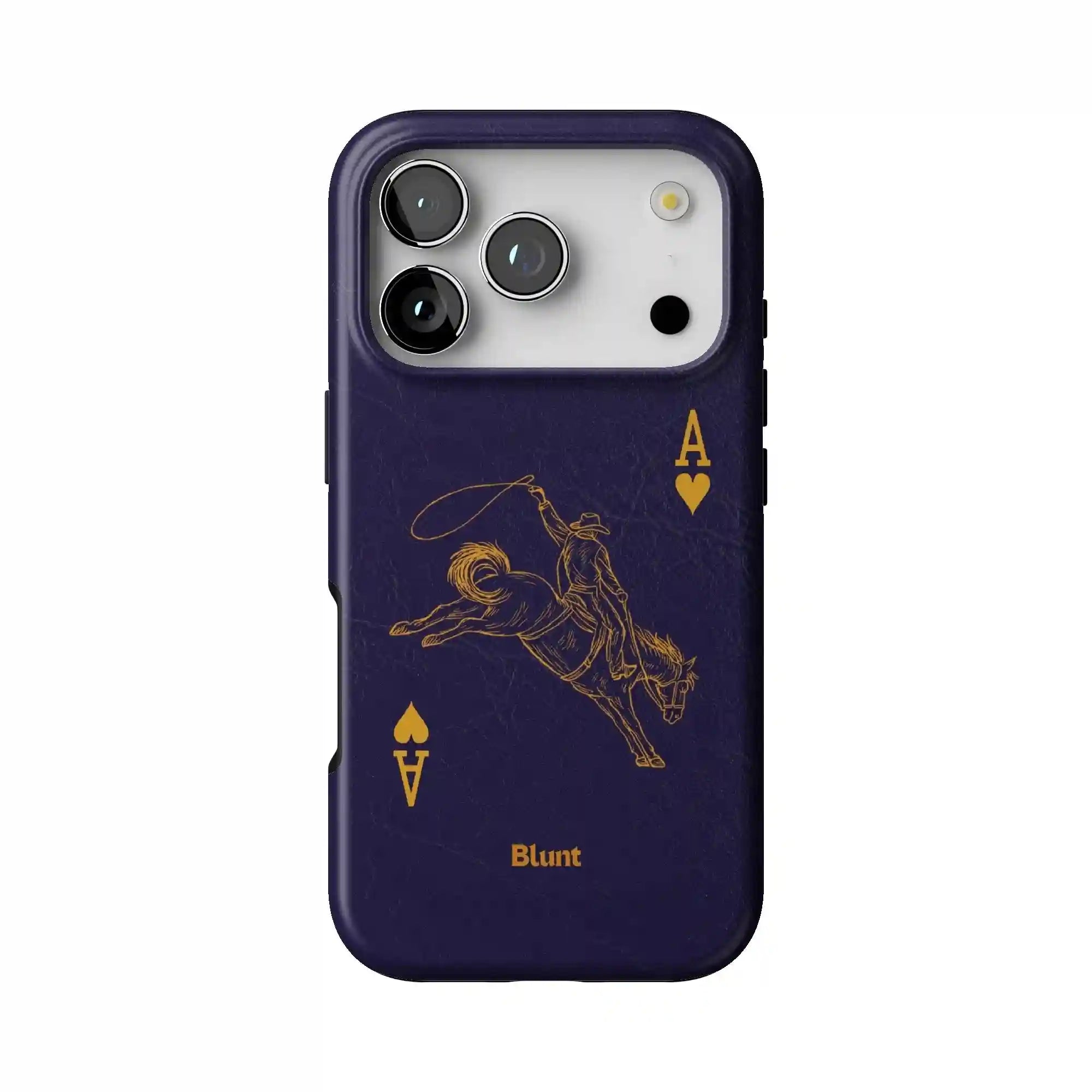 bluntcasesonline.com