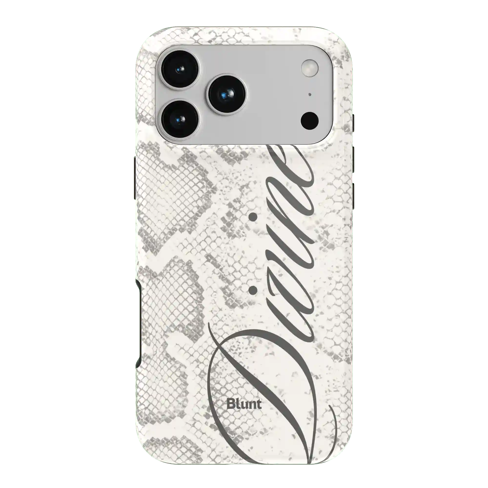 bluntcasesonline.com