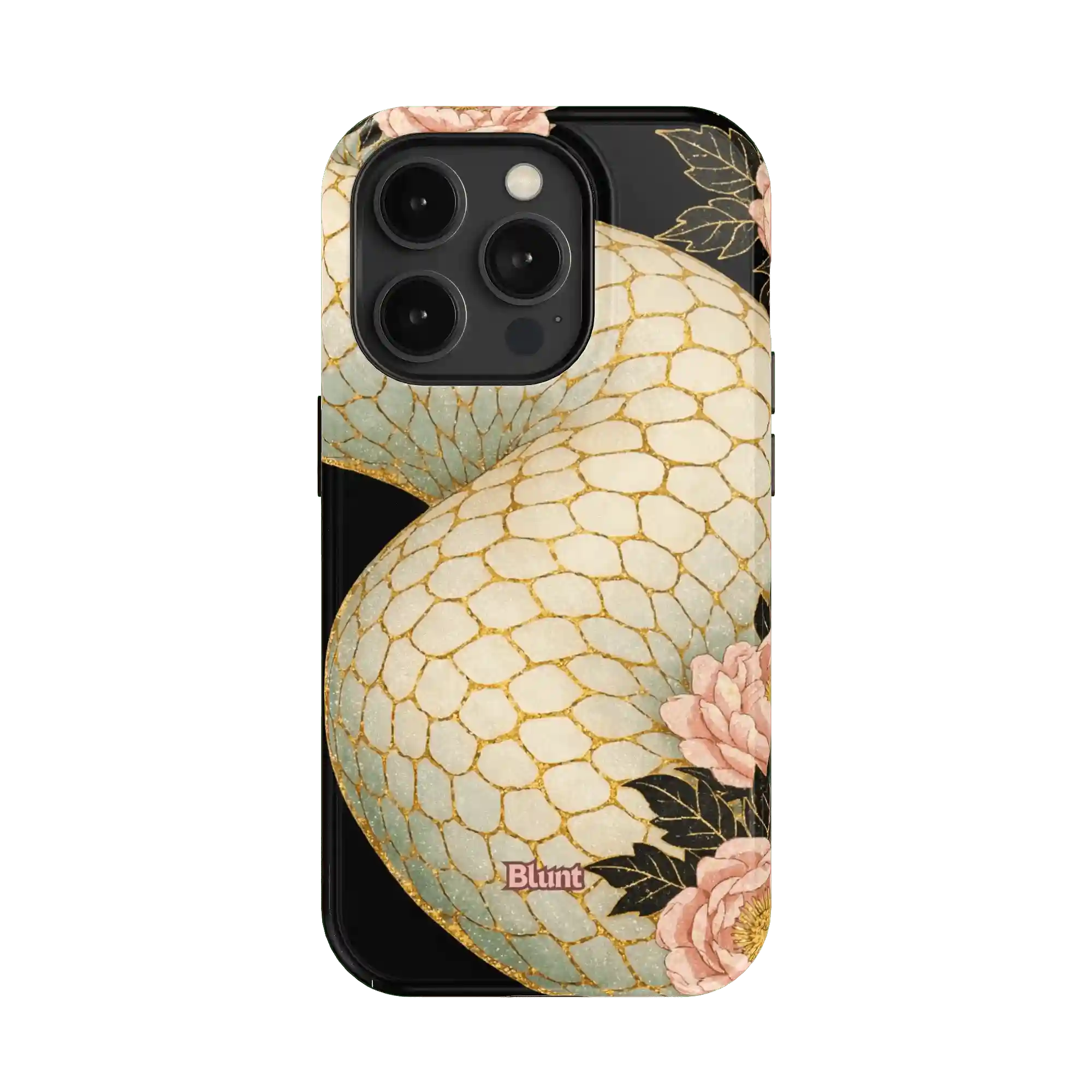 bluntcasesonline.com
