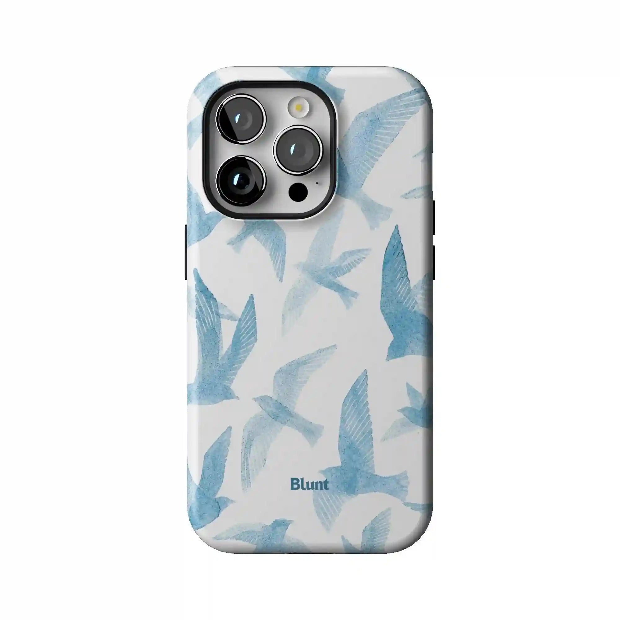 bluntcasesonline.com