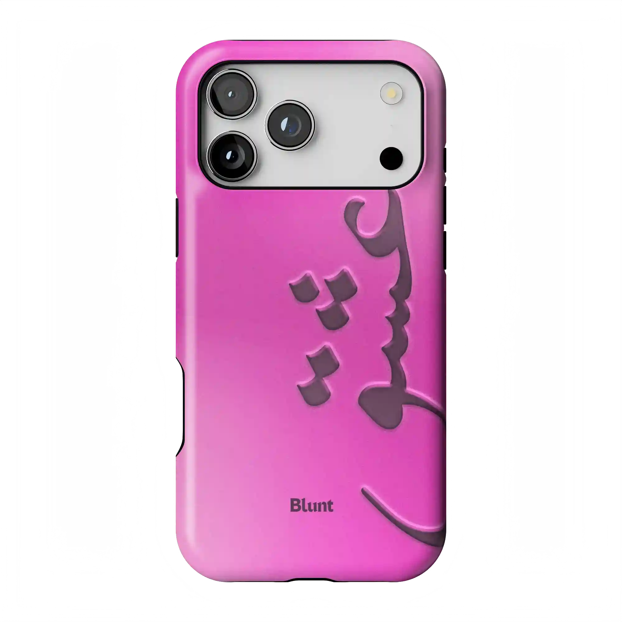 bluntcasesonline.com