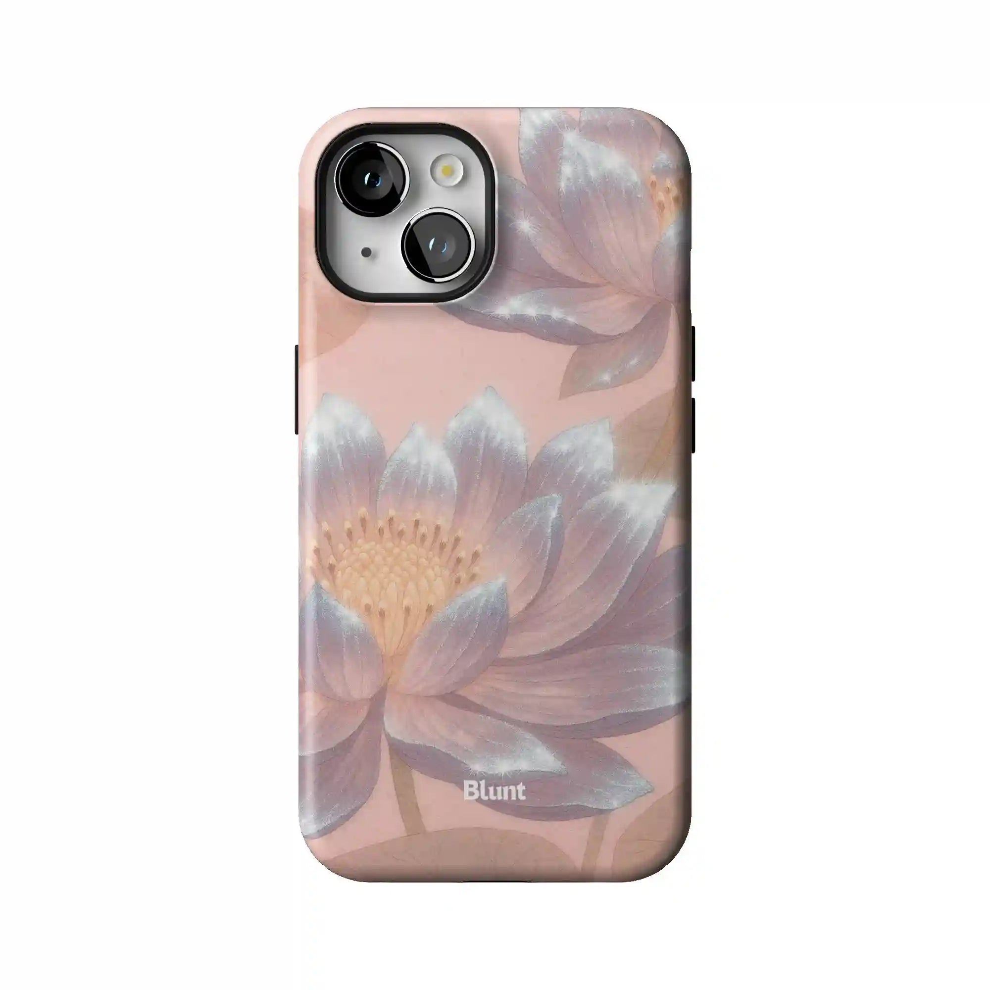 bluntcasesonline.com