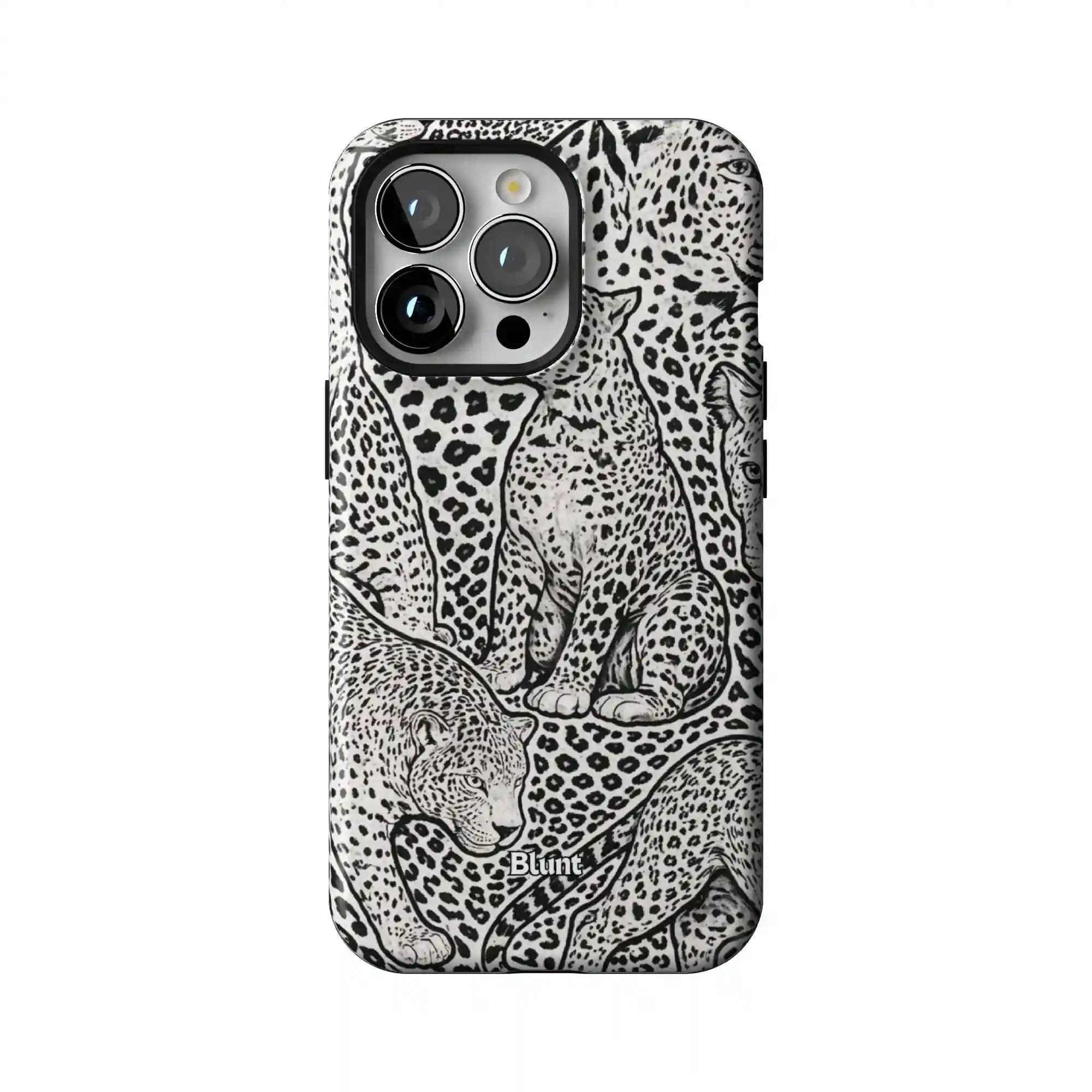 bluntcasesonline.com