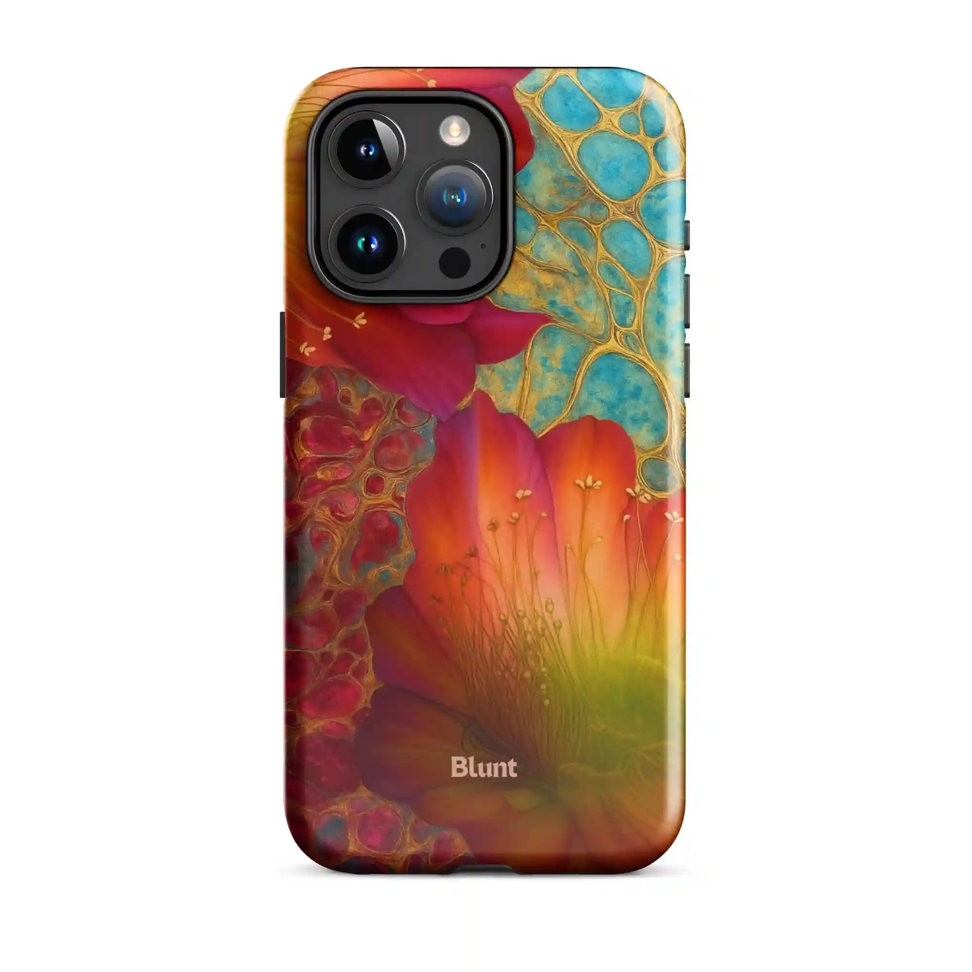 bluntcasesonline.com