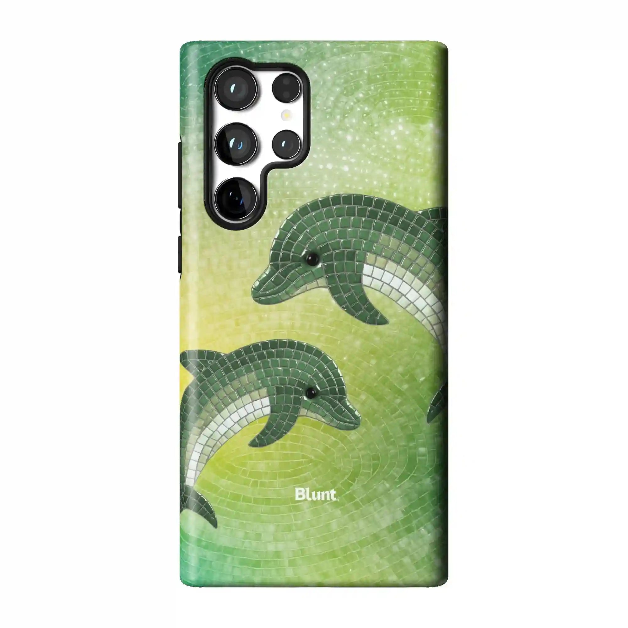 bluntcasesonline.com