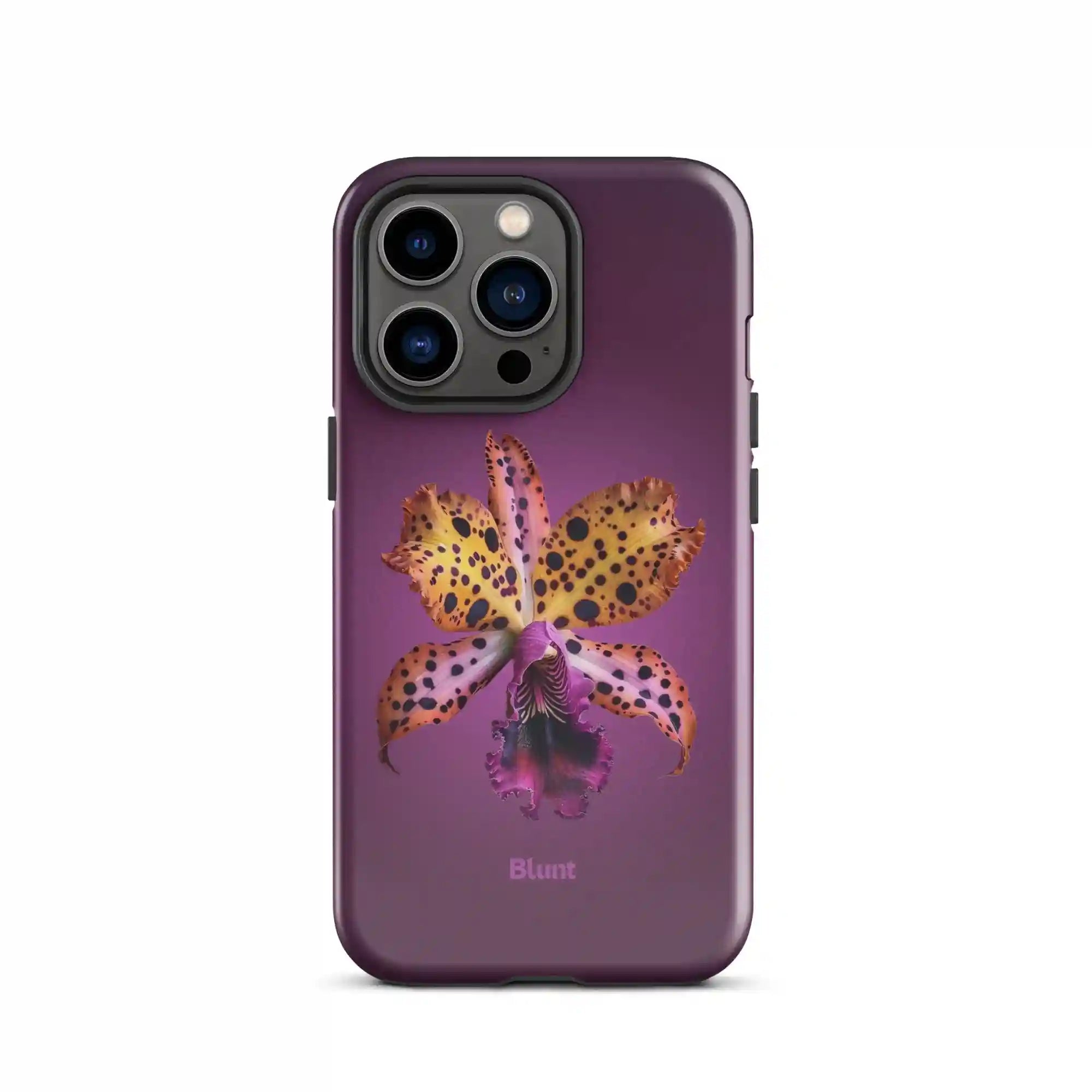 bluntcasesonline.com