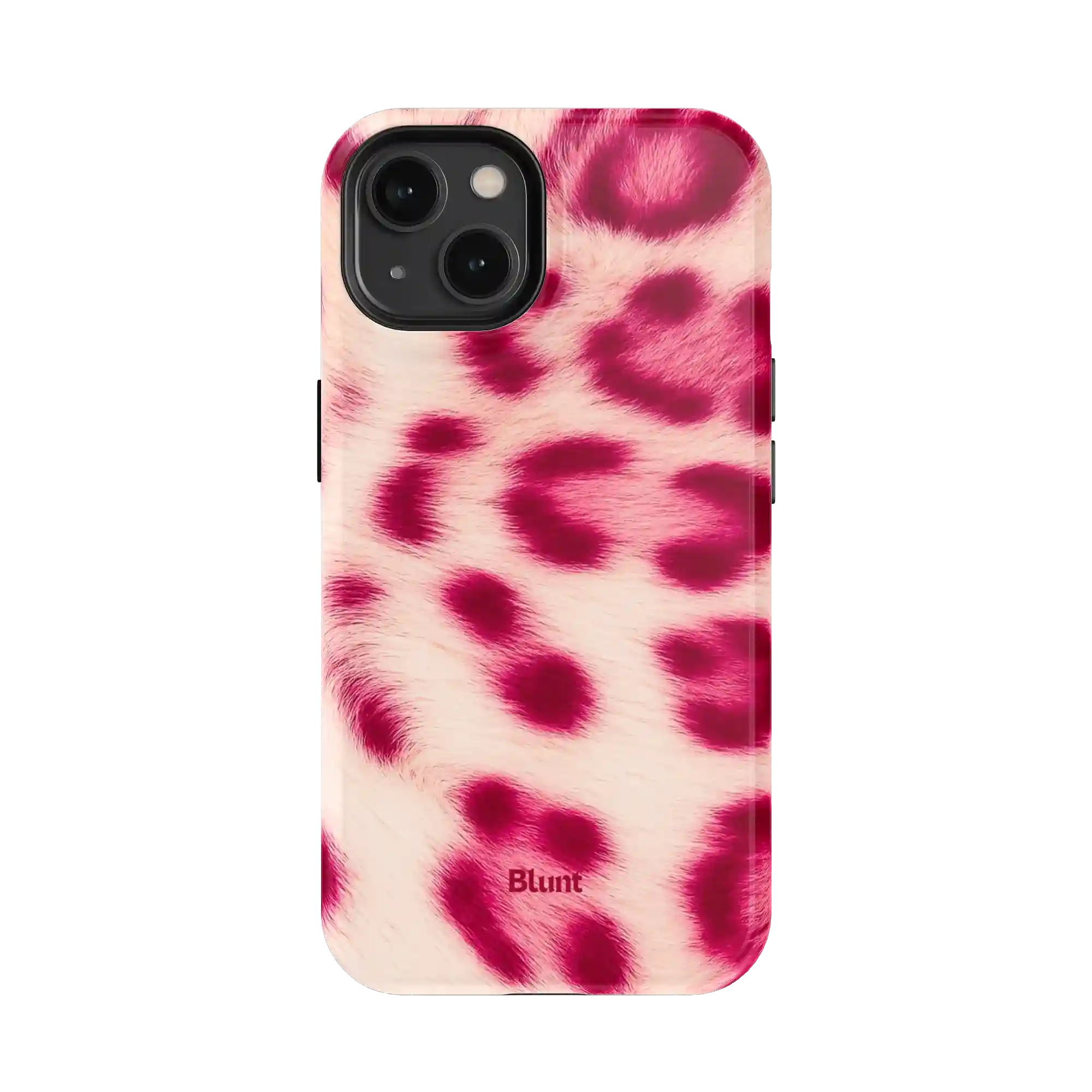 bluntcasesonline.com