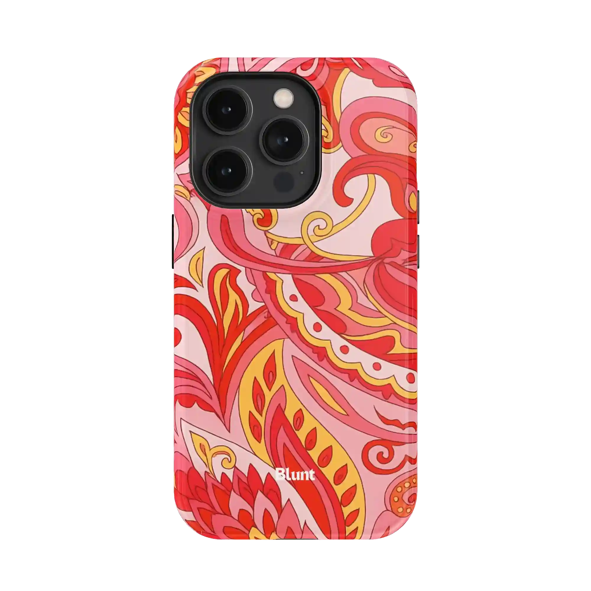 bluntcasesonline.com