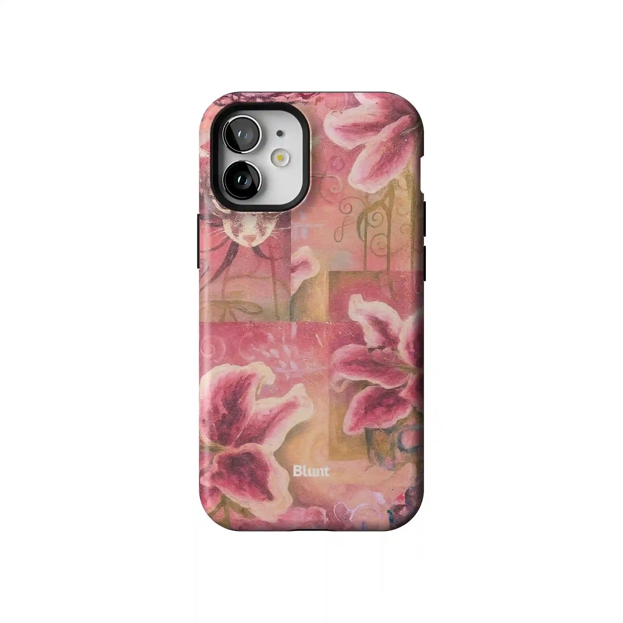 bluntcasesonline.com
