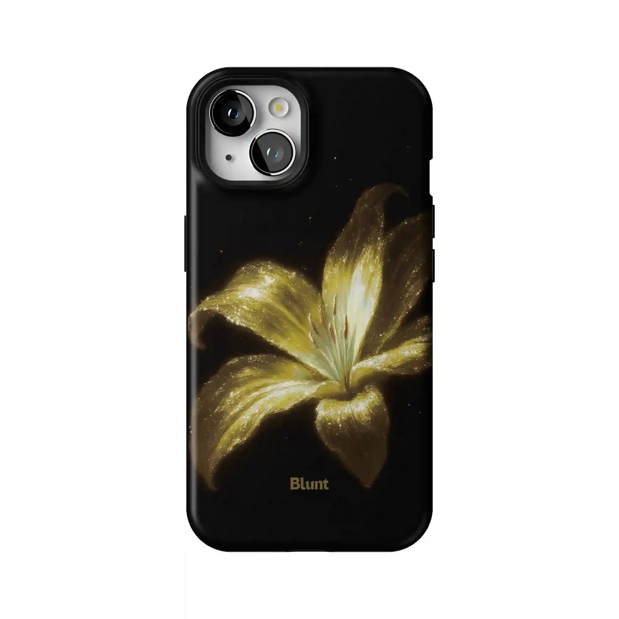 bluntcasesonline.com