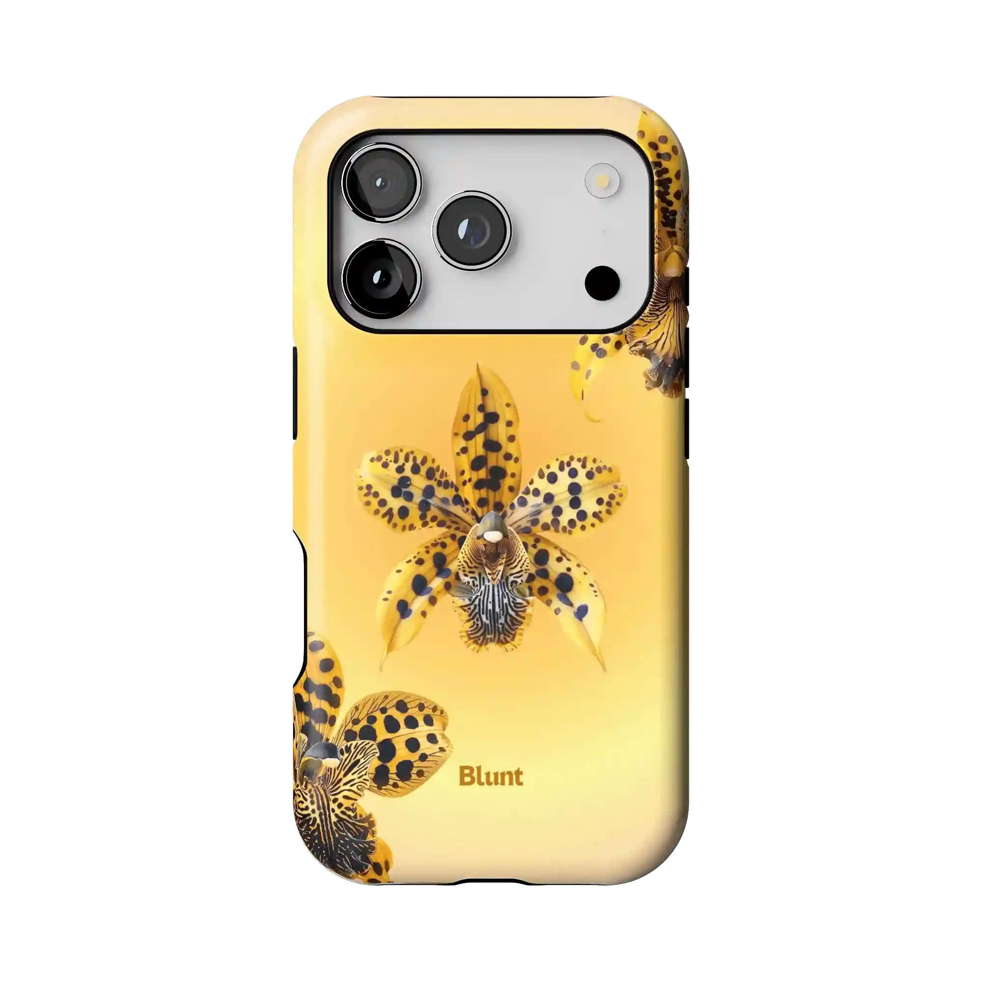 bluntcasesonline.com