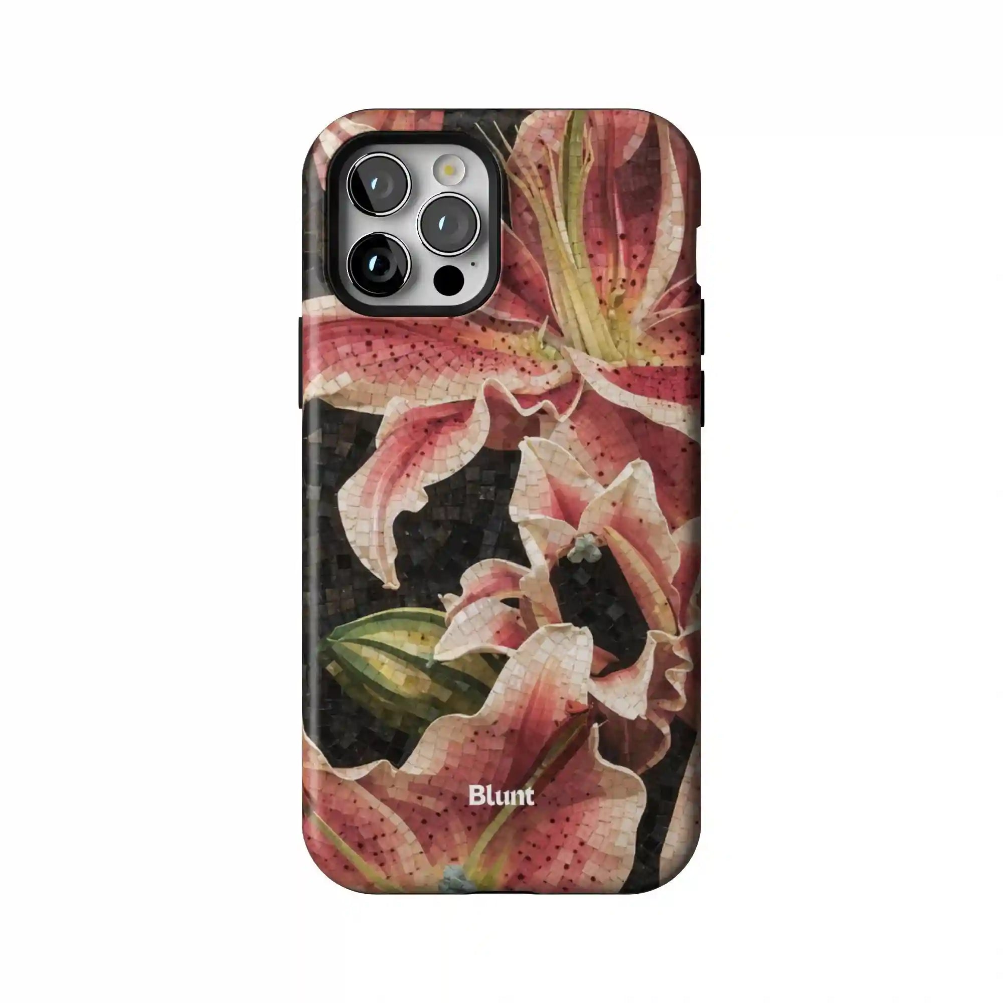 bluntcasesonline.com