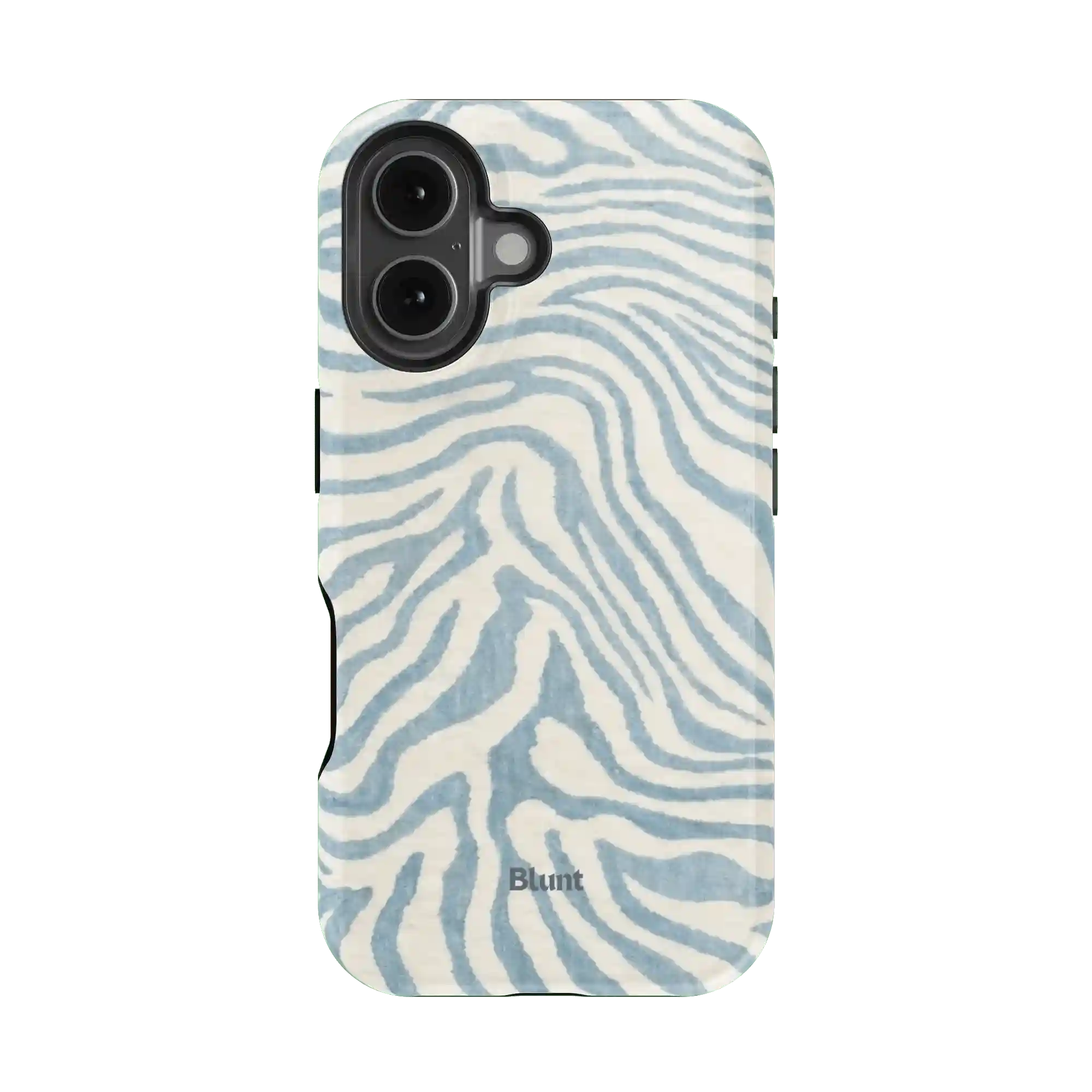 bluntcasesonline.com