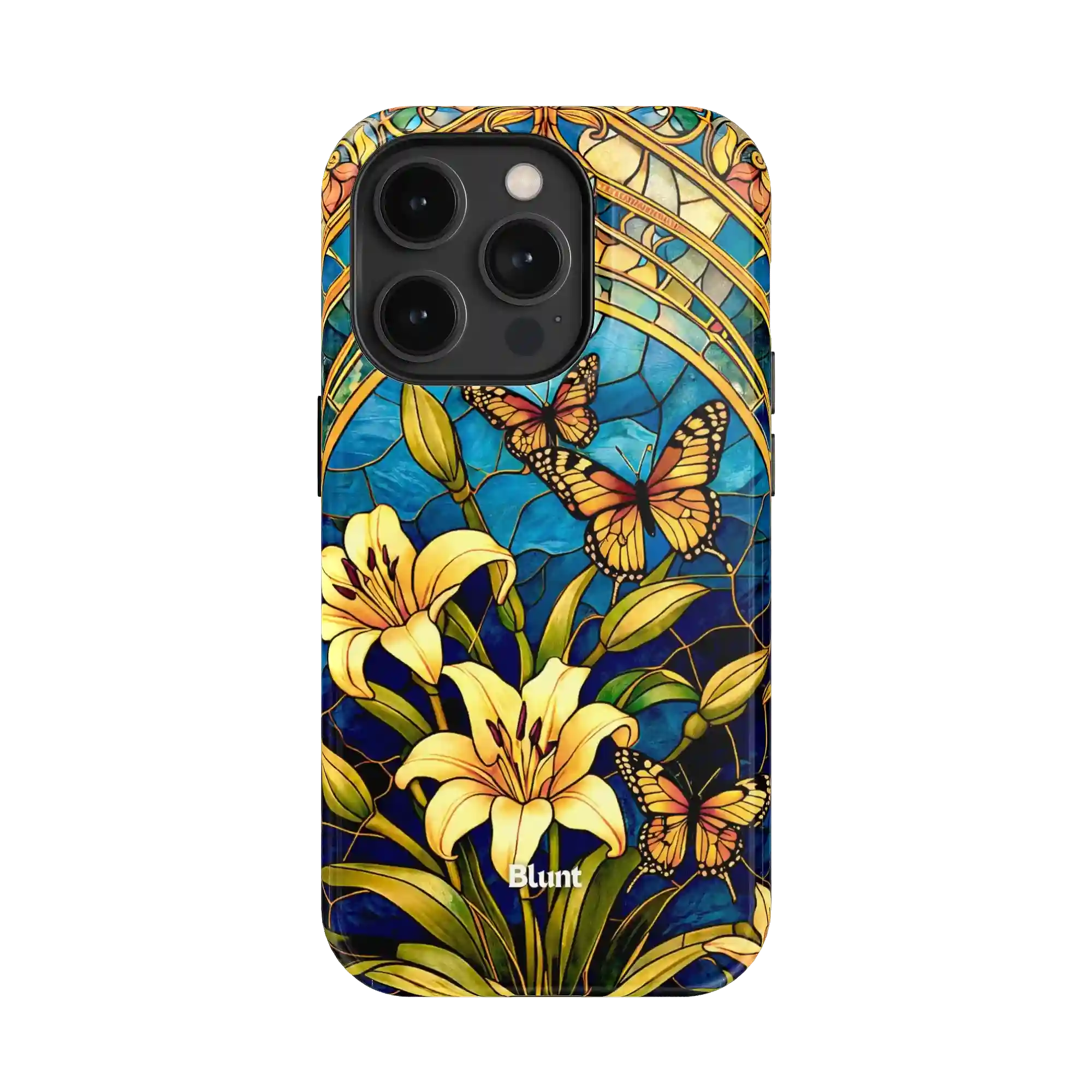bluntcasesonline.com