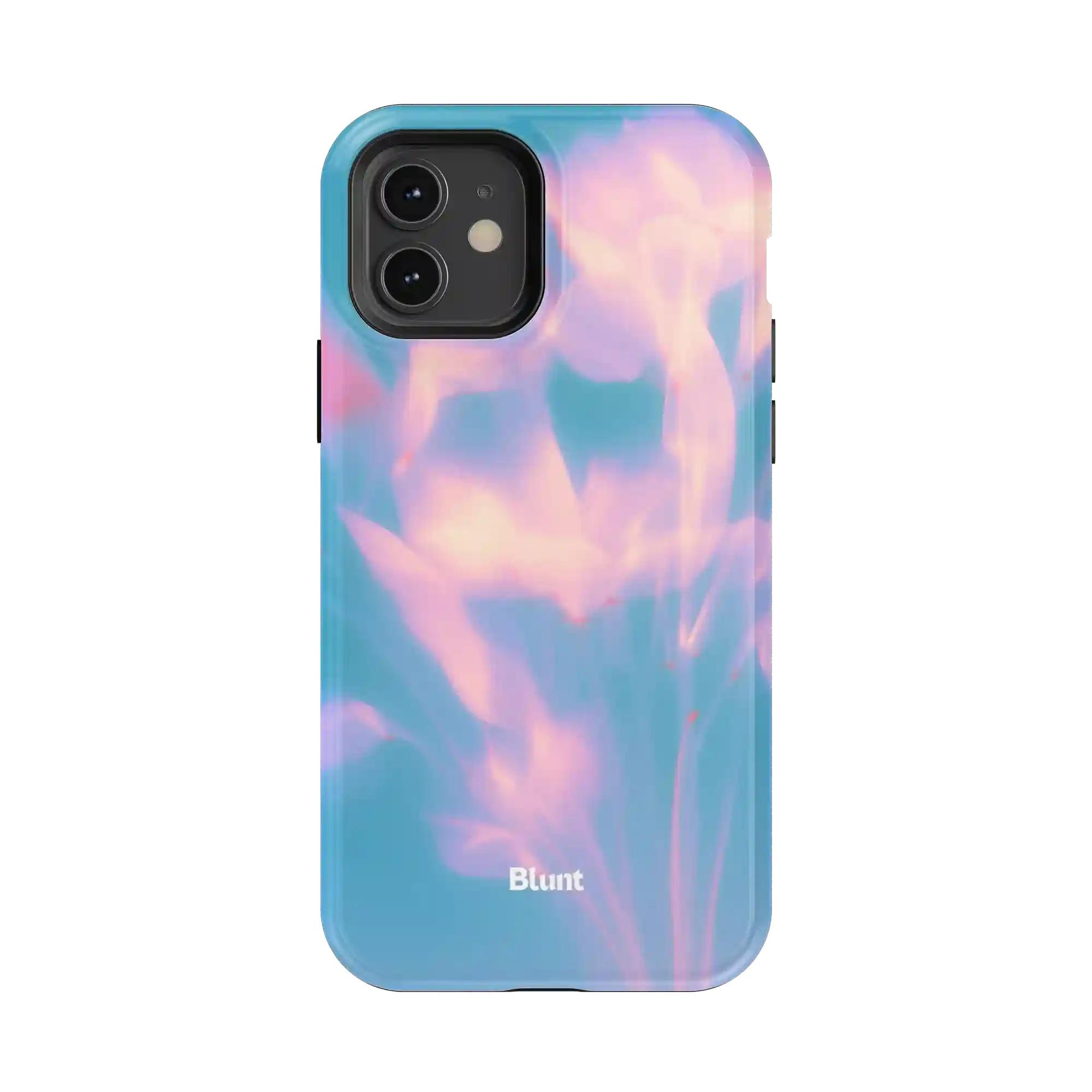 bluntcasesonline.com