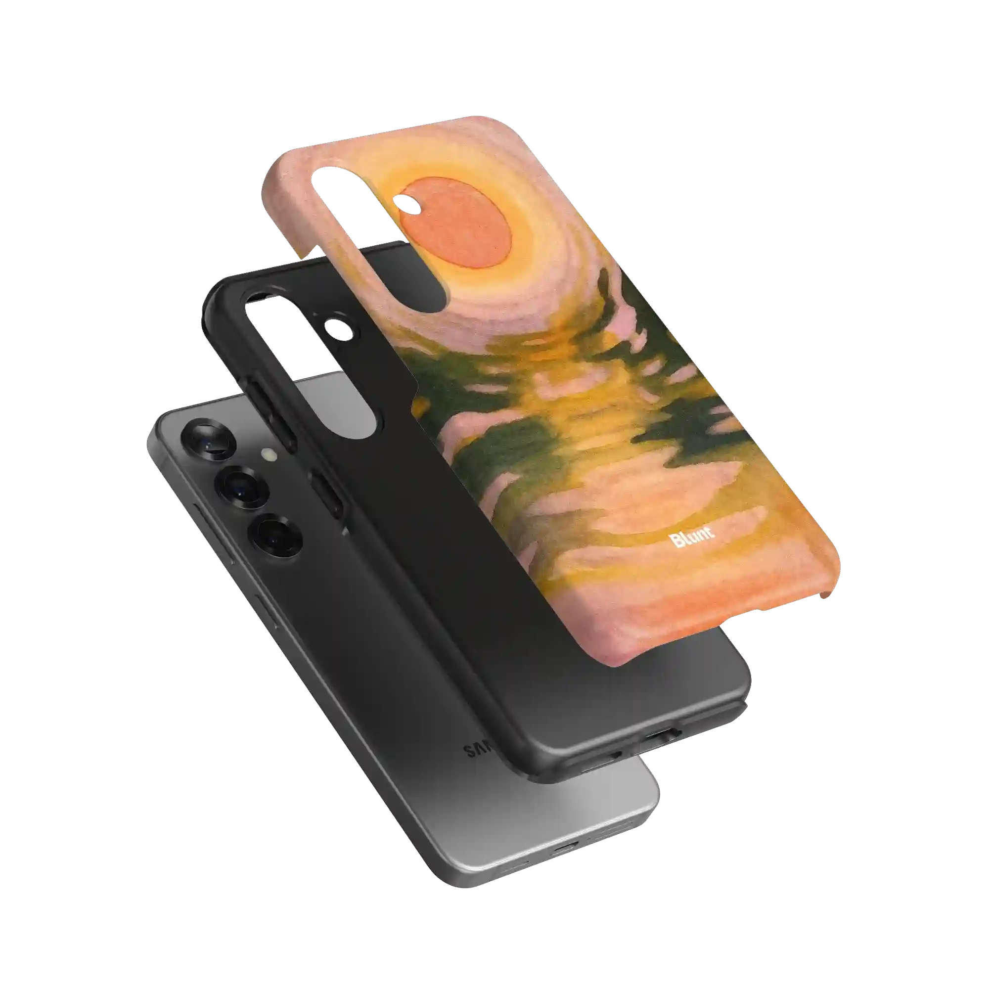 bluntcasesonline.com