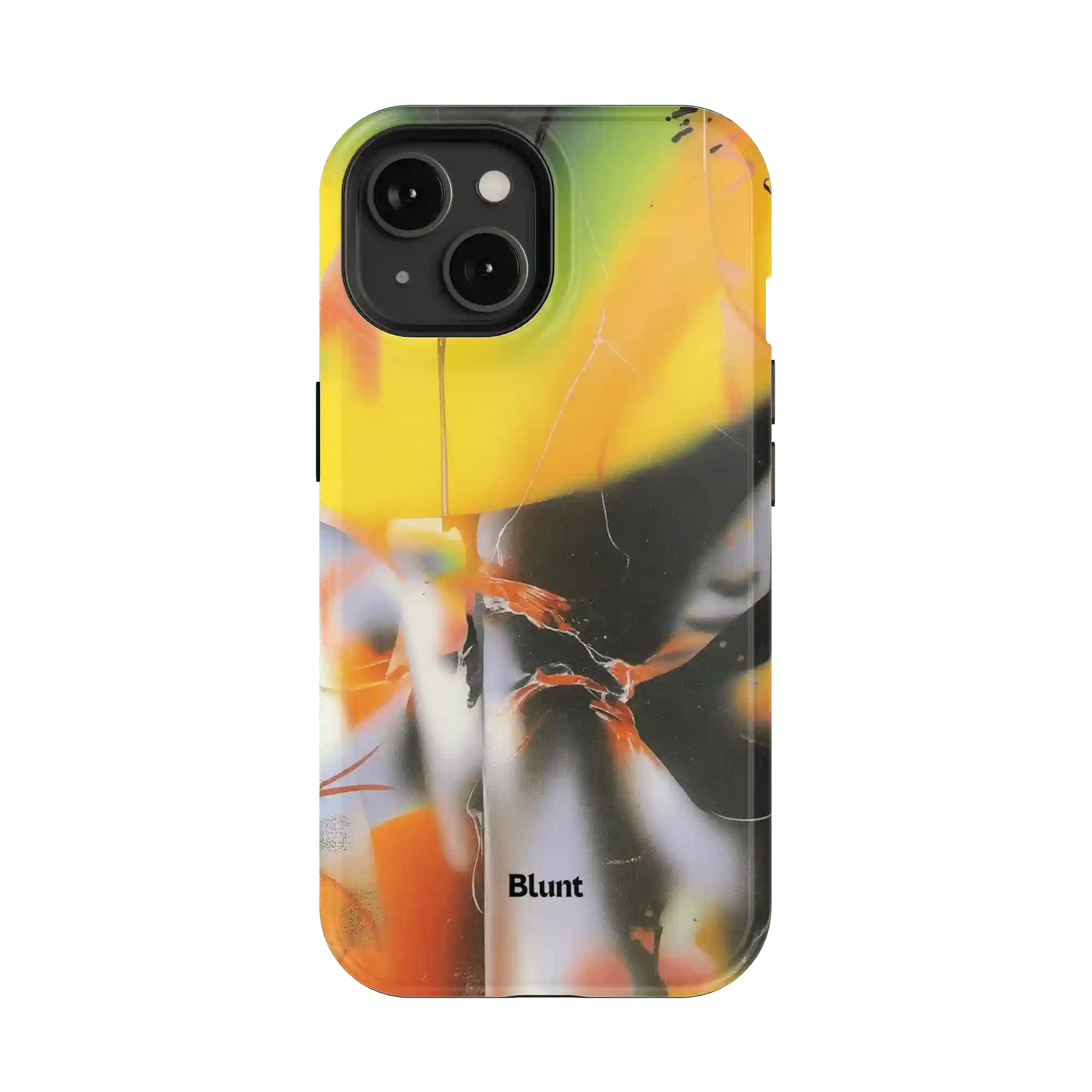 bluntcasesonline.com