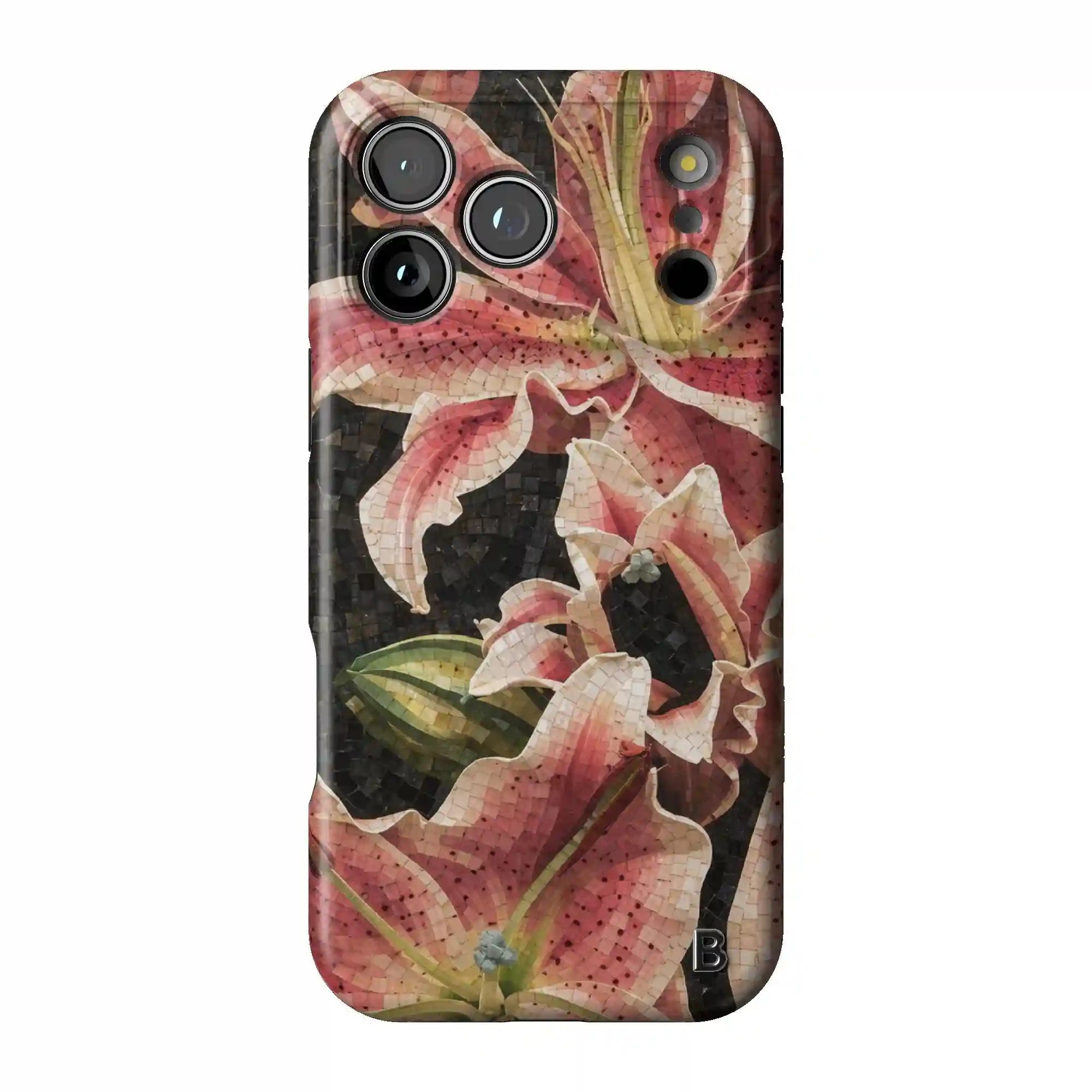 bluntcasesonline.com