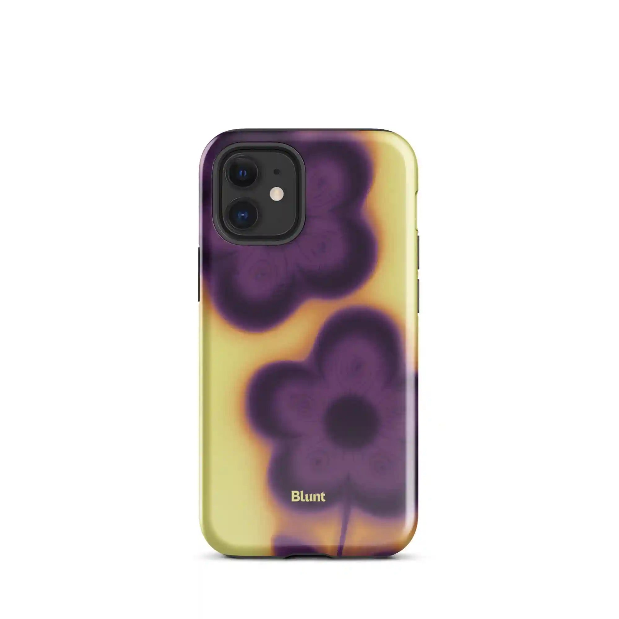 bluntcasesonline.com
