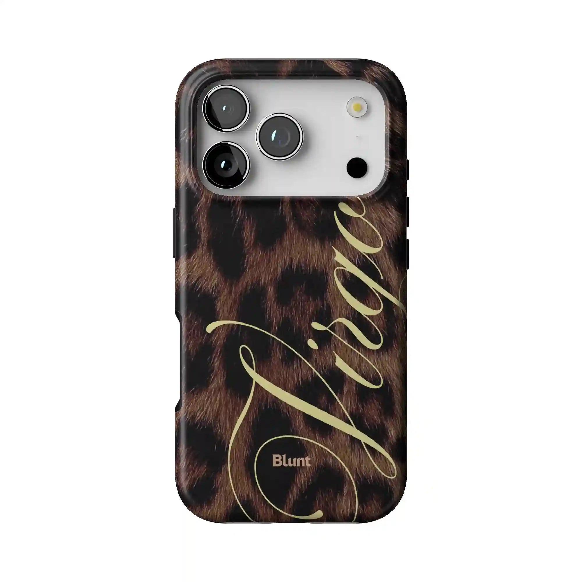 bluntcasesonline.com