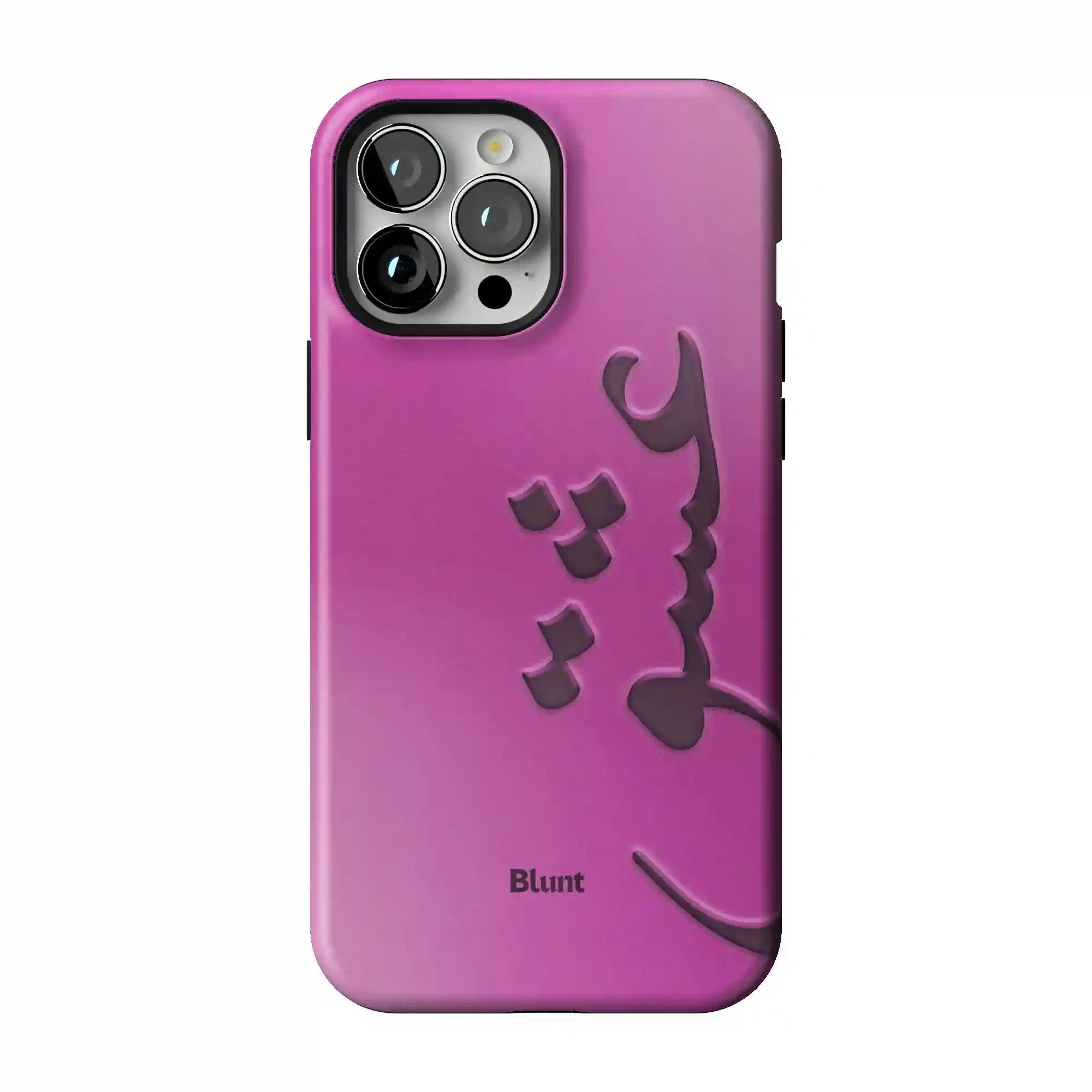 bluntcasesonline.com