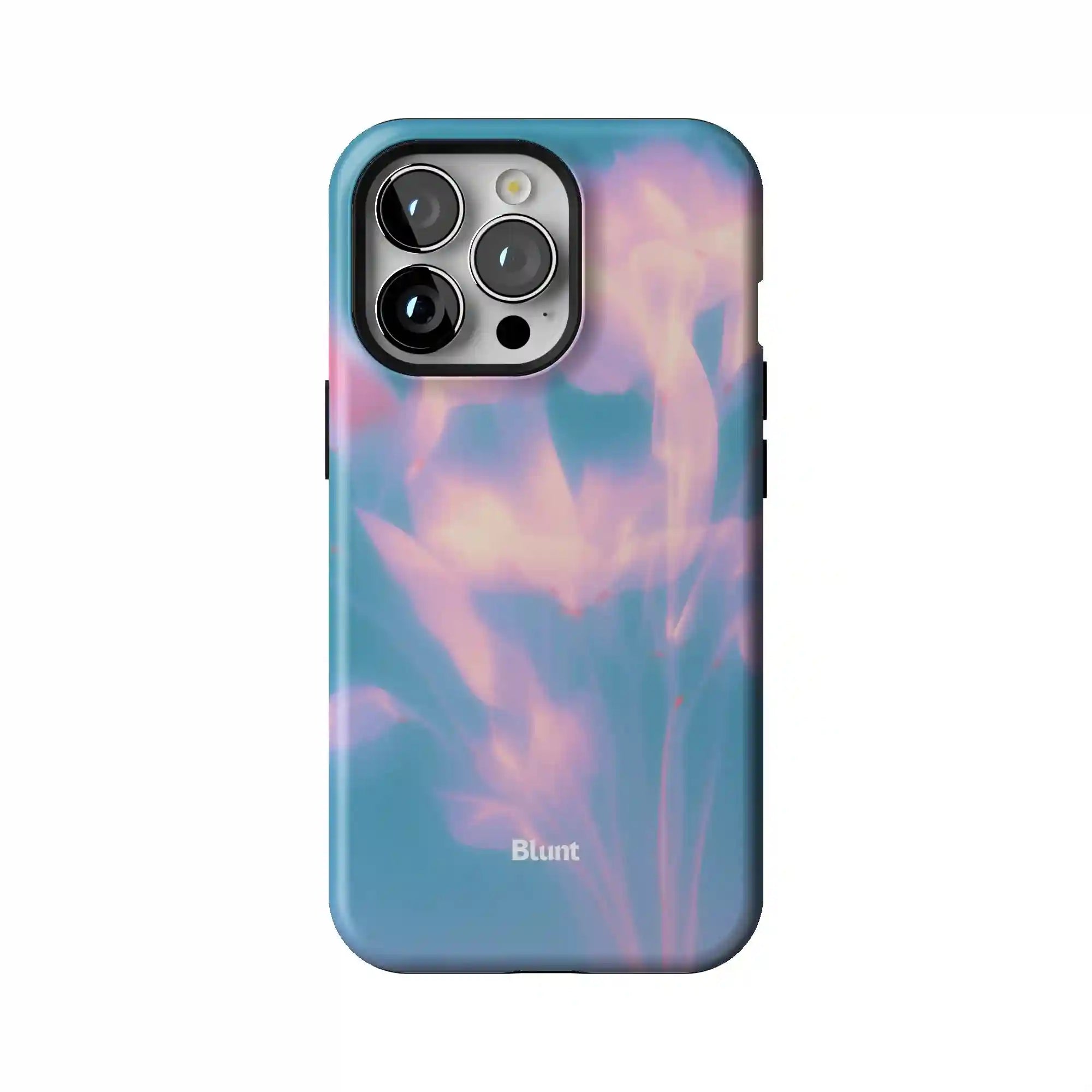 bluntcasesonline.com