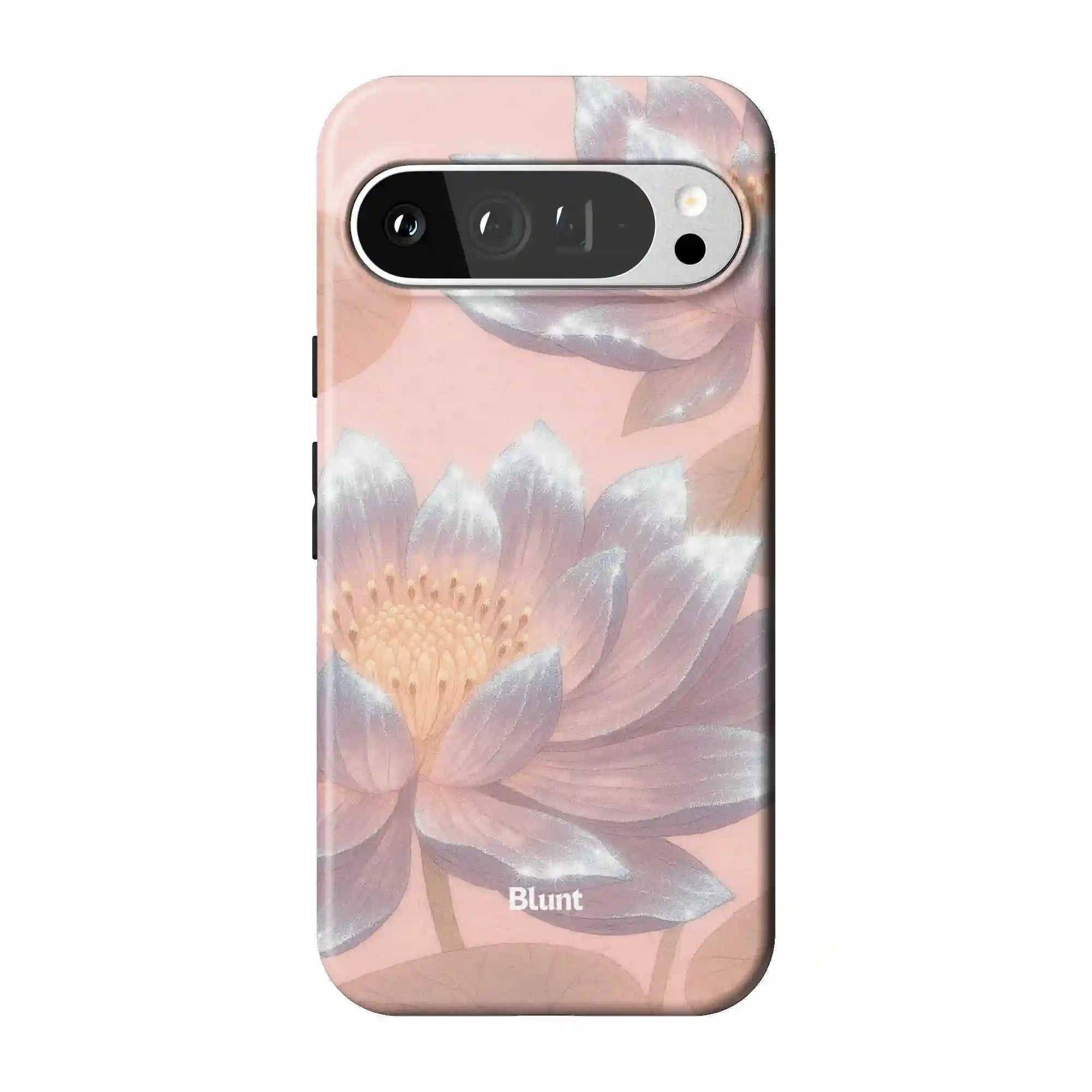 bluntcasesonline.com