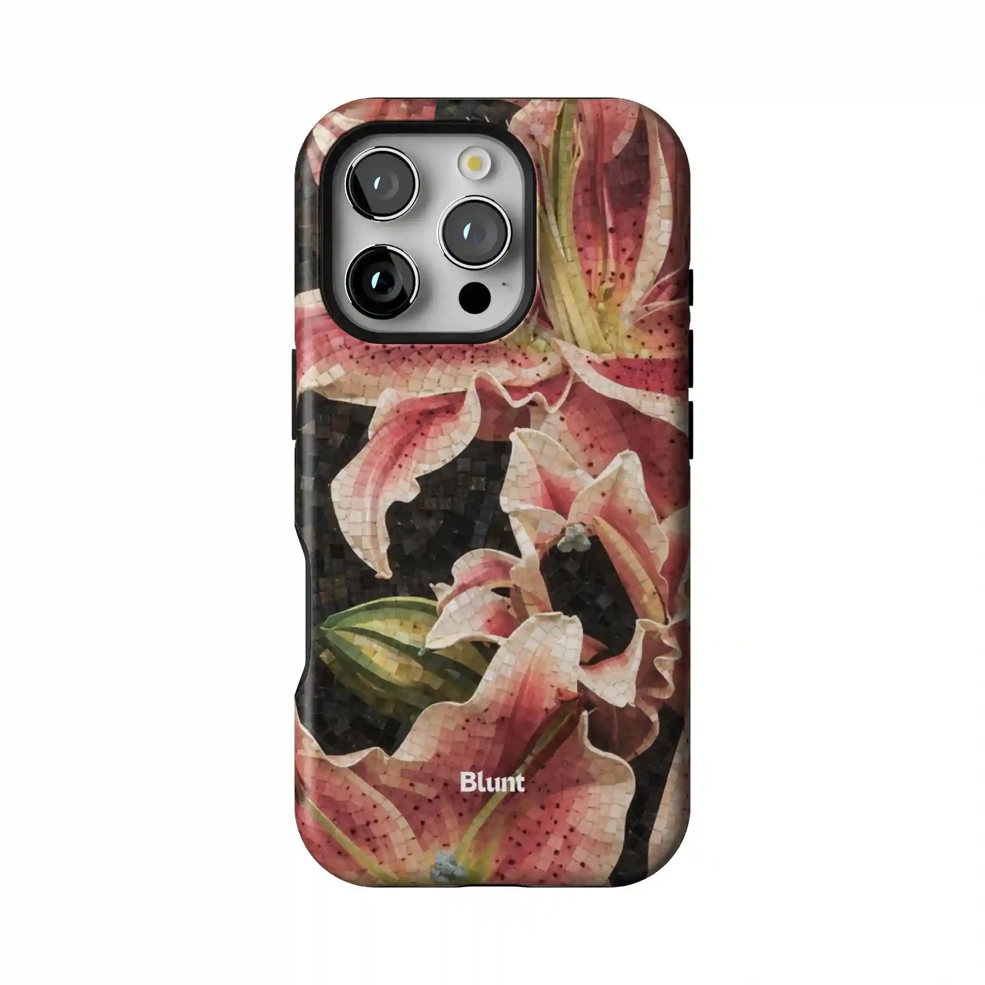 bluntcasesonline.com