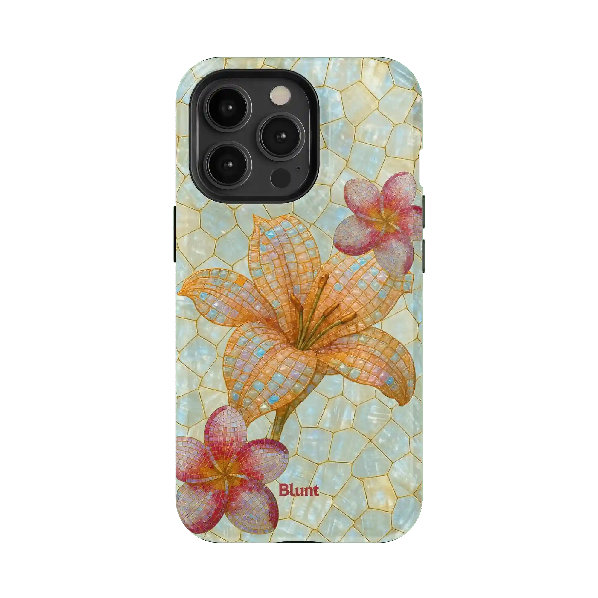 bluntcasesonline.com