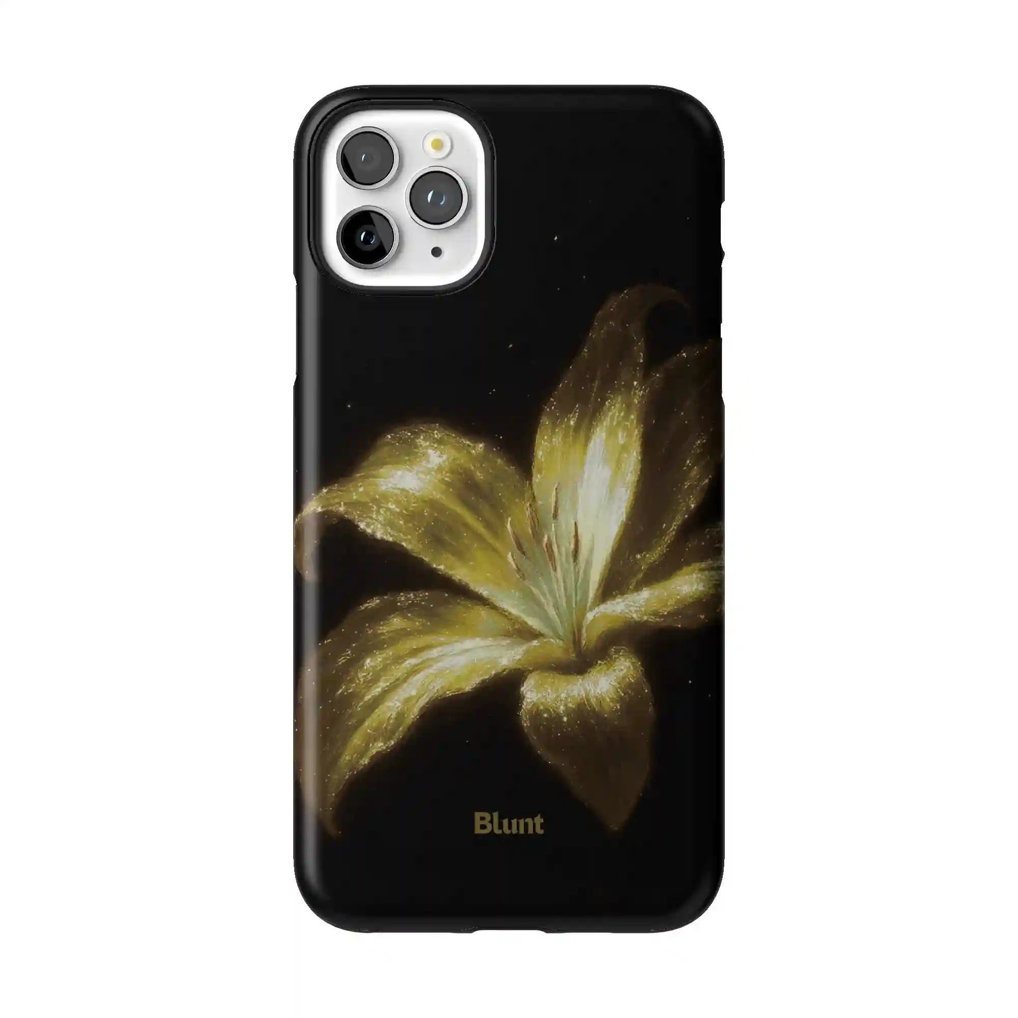 bluntcasesonline.com