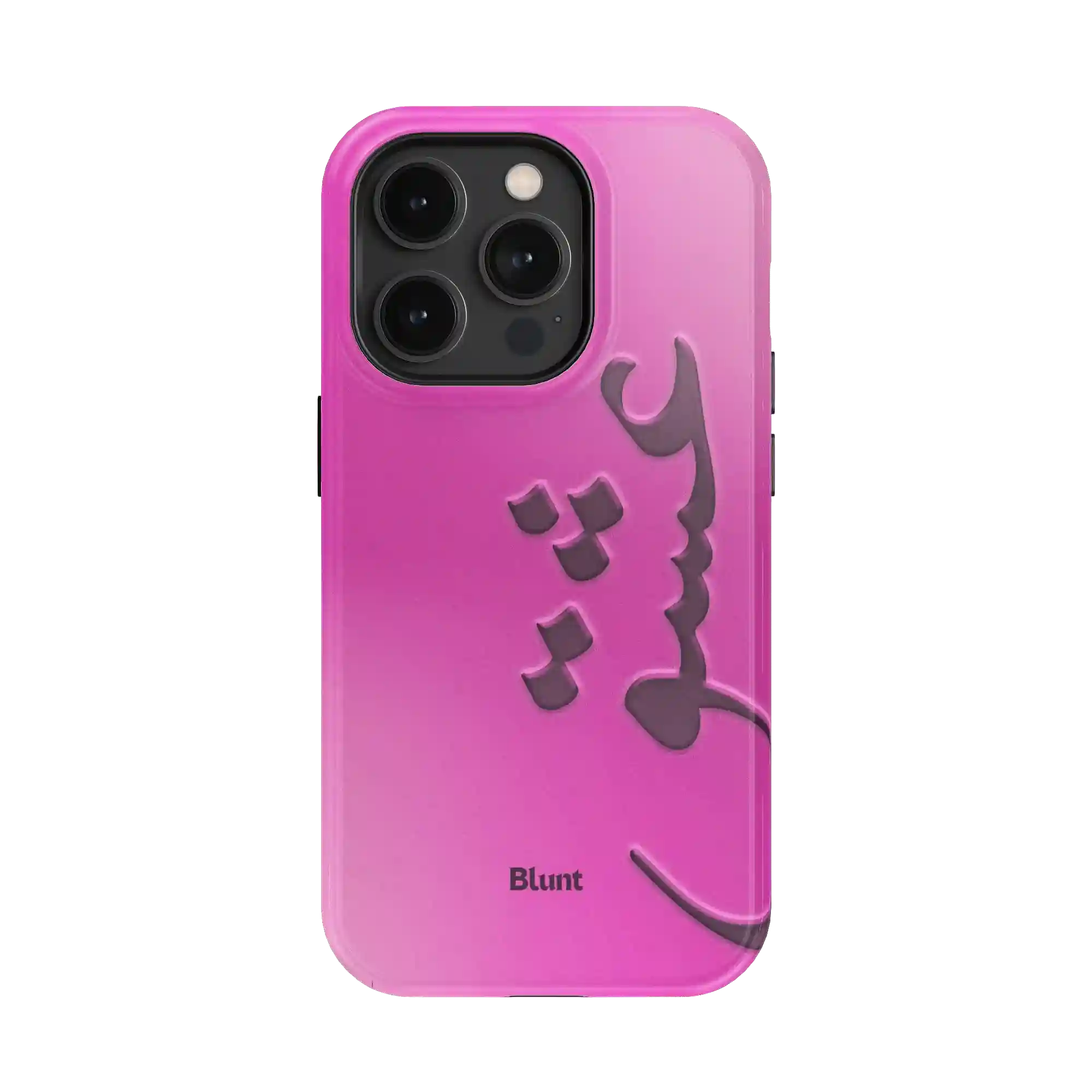 bluntcasesonline.com
