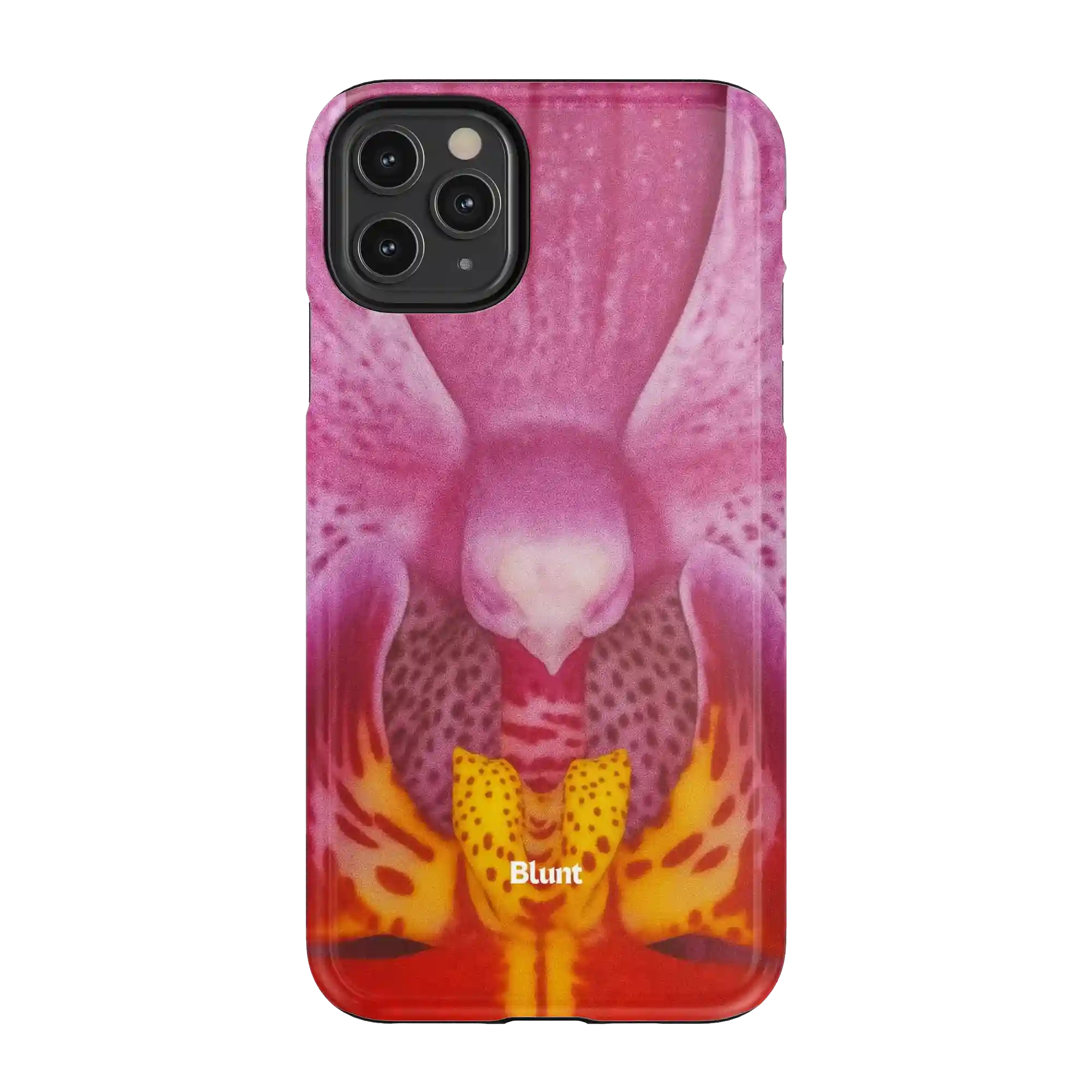 bluntcasesonline.com