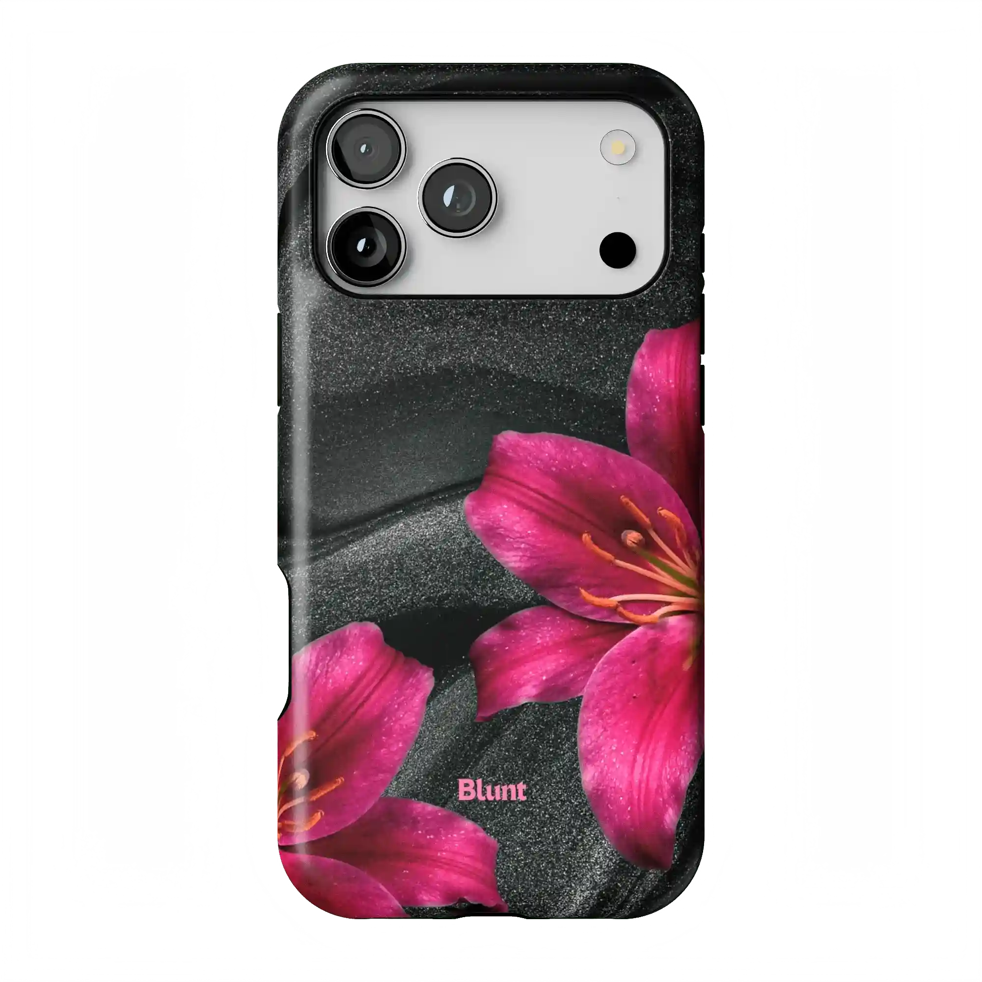 bluntcasesonline.com