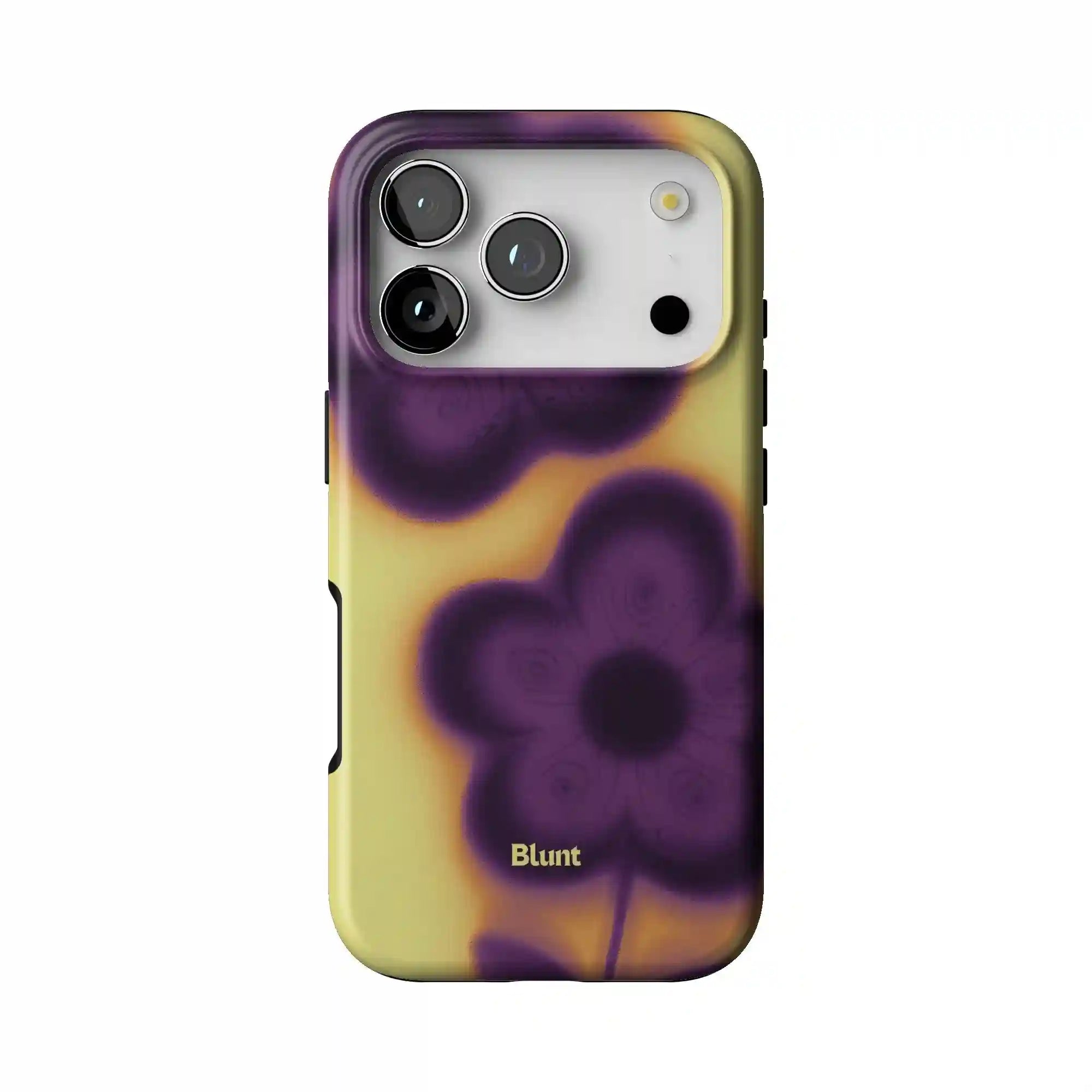 bluntcasesonline.com