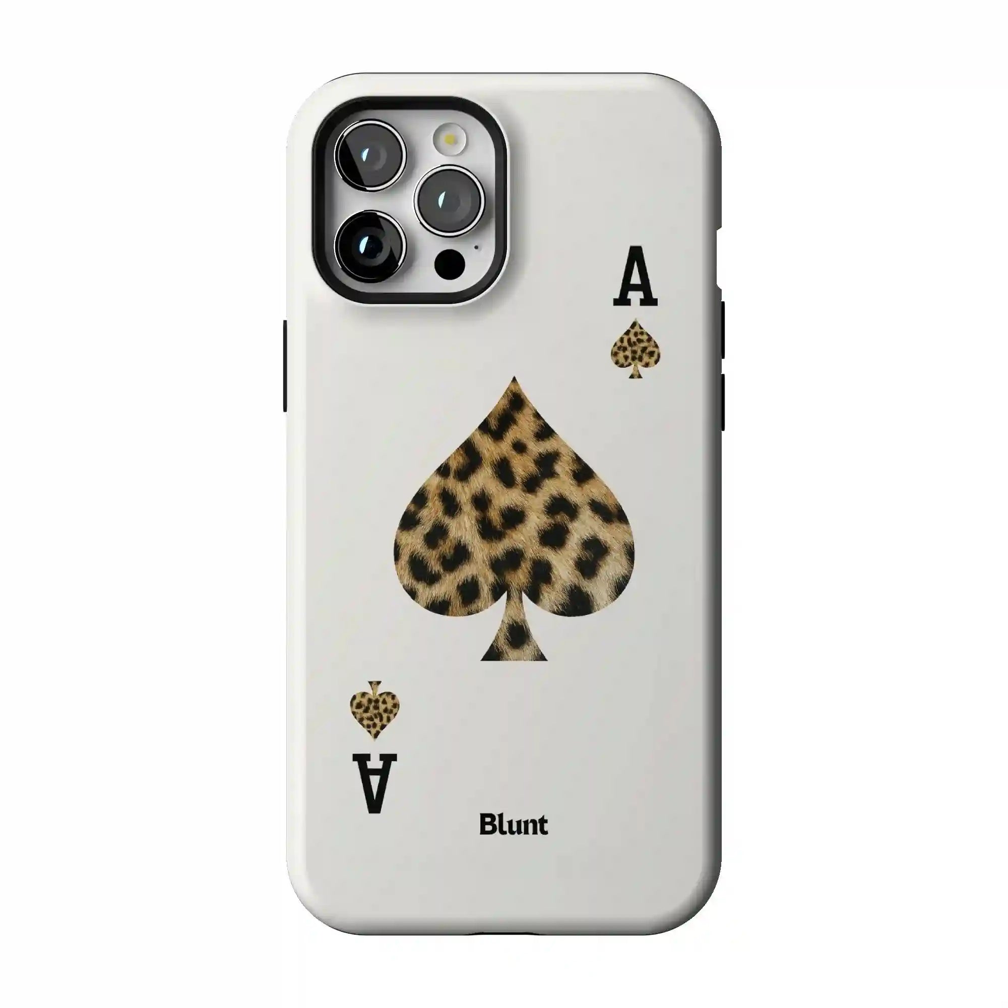 bluntcasesonline.com