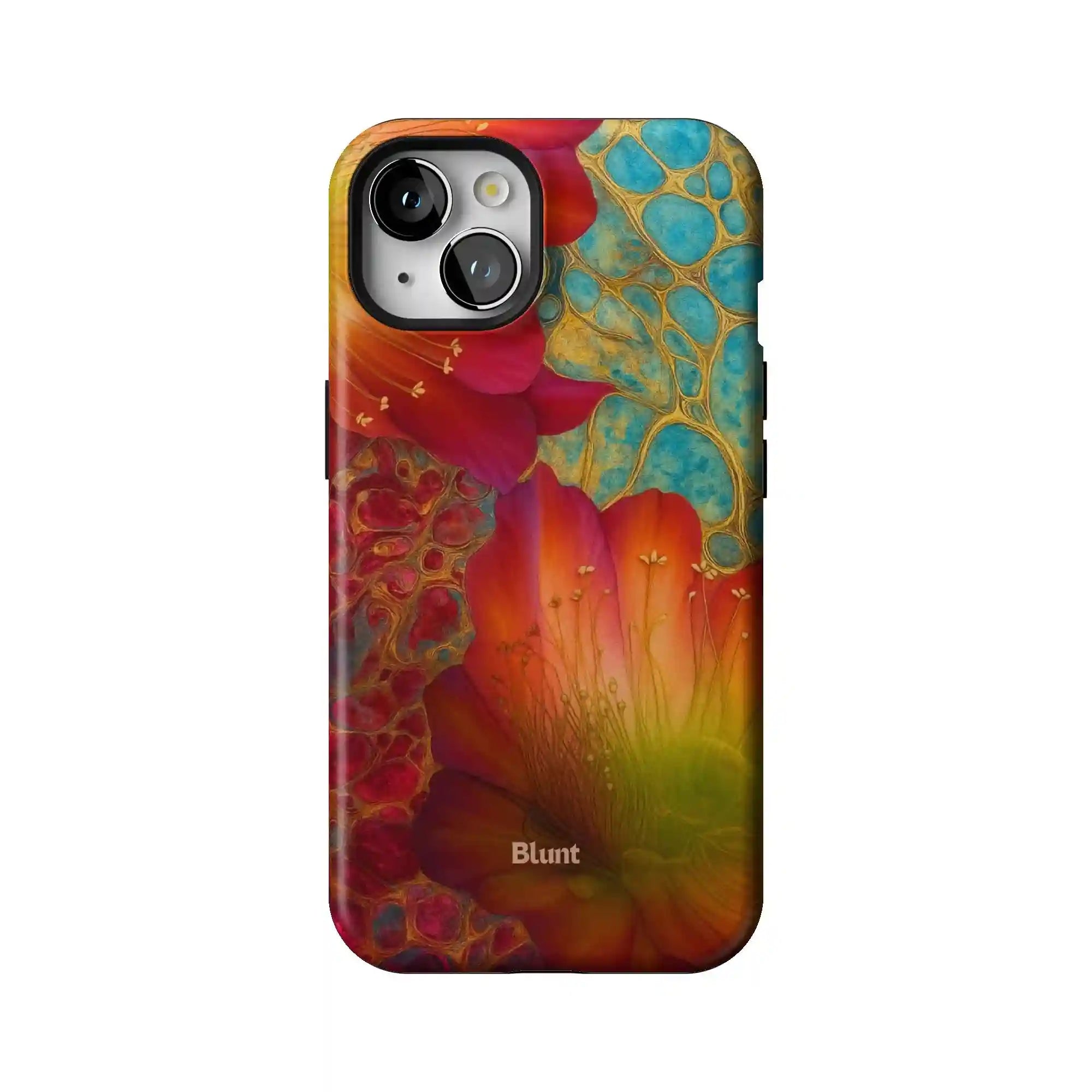 bluntcasesonline.com