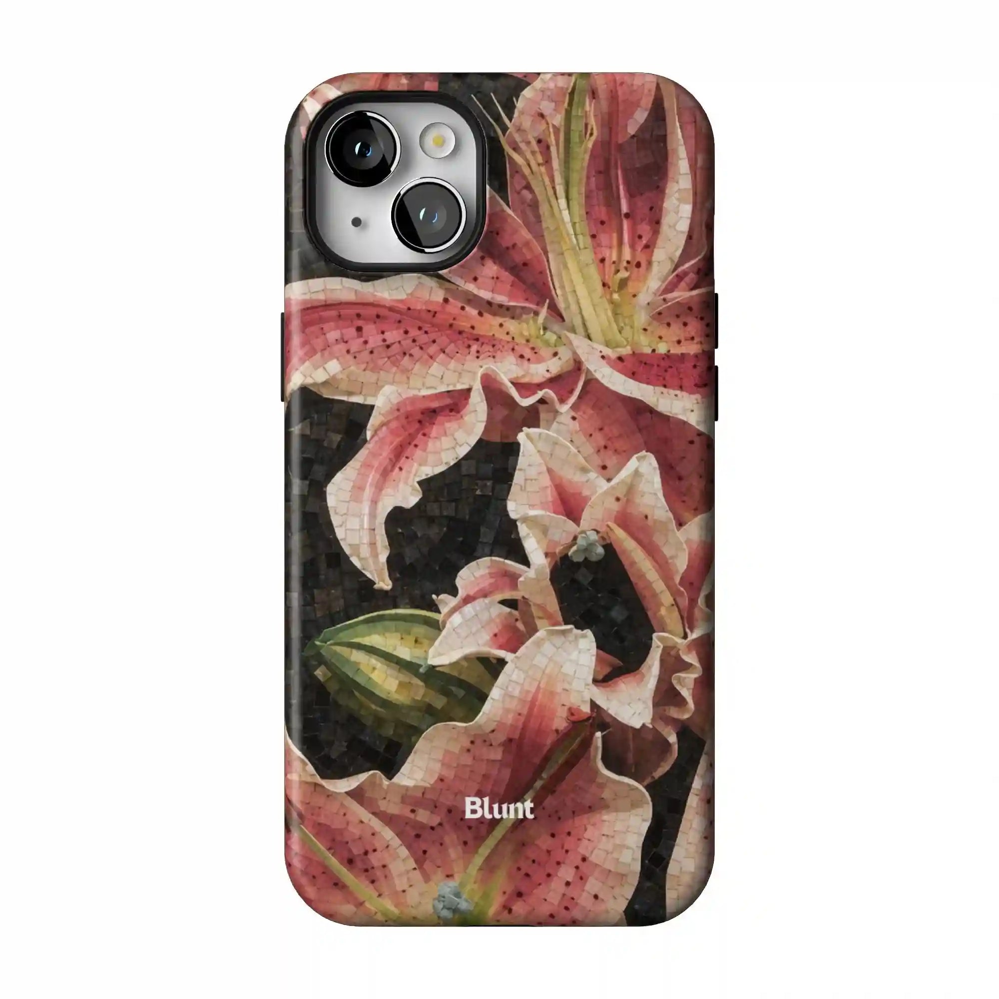 bluntcasesonline.com