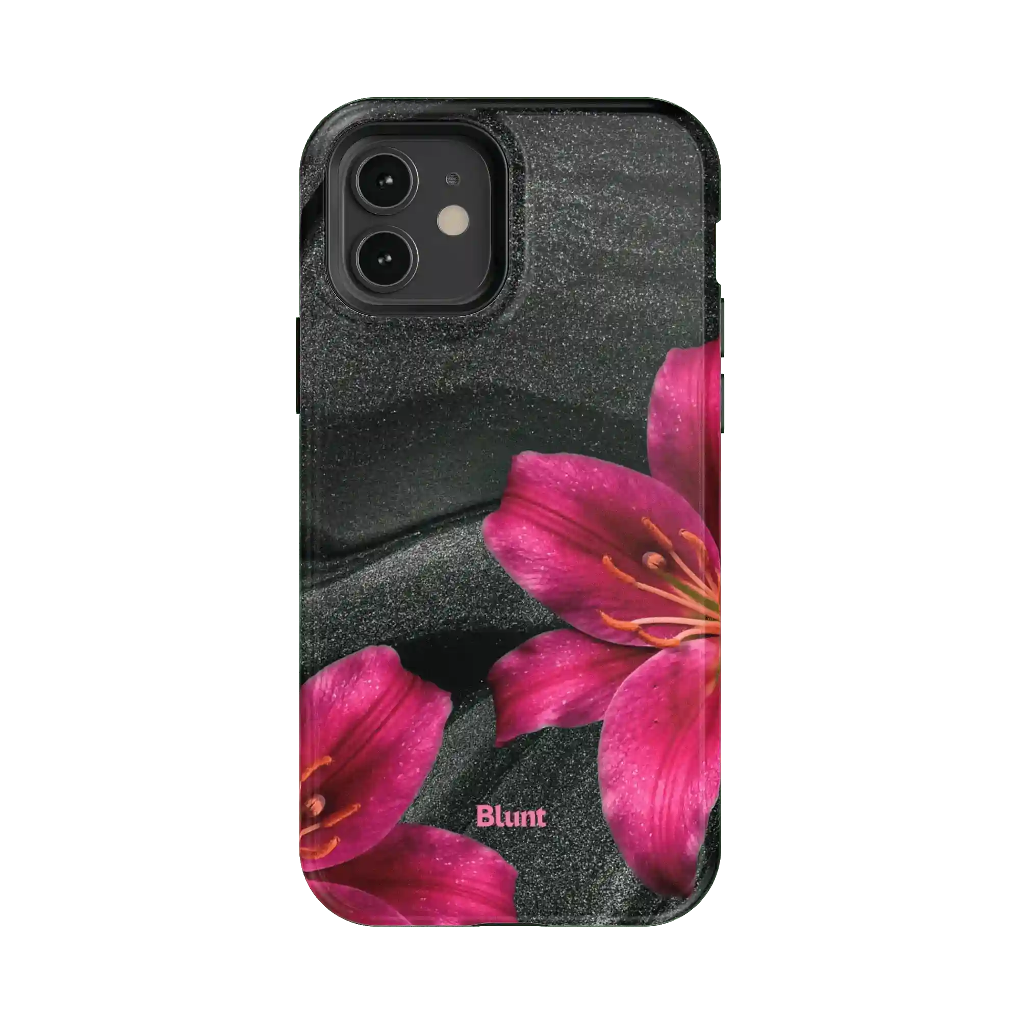 bluntcasesonline.com