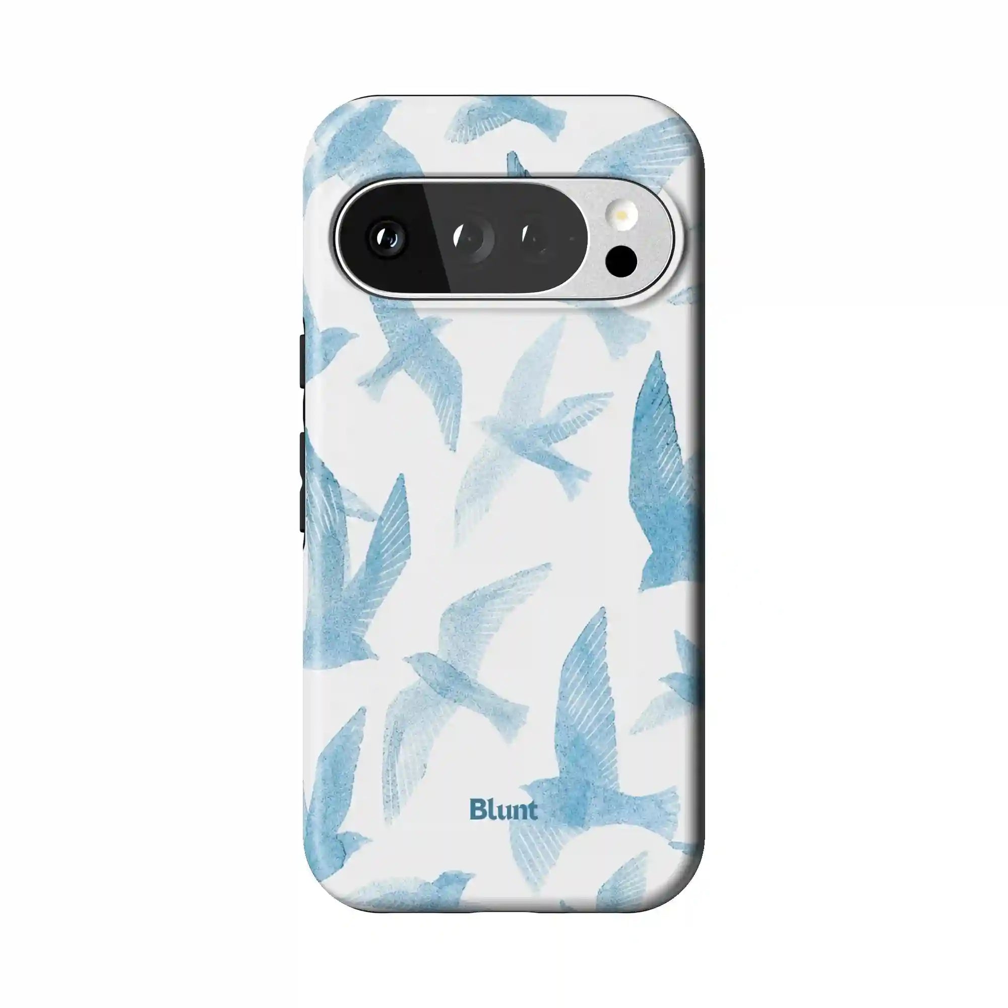 bluntcasesonline.com