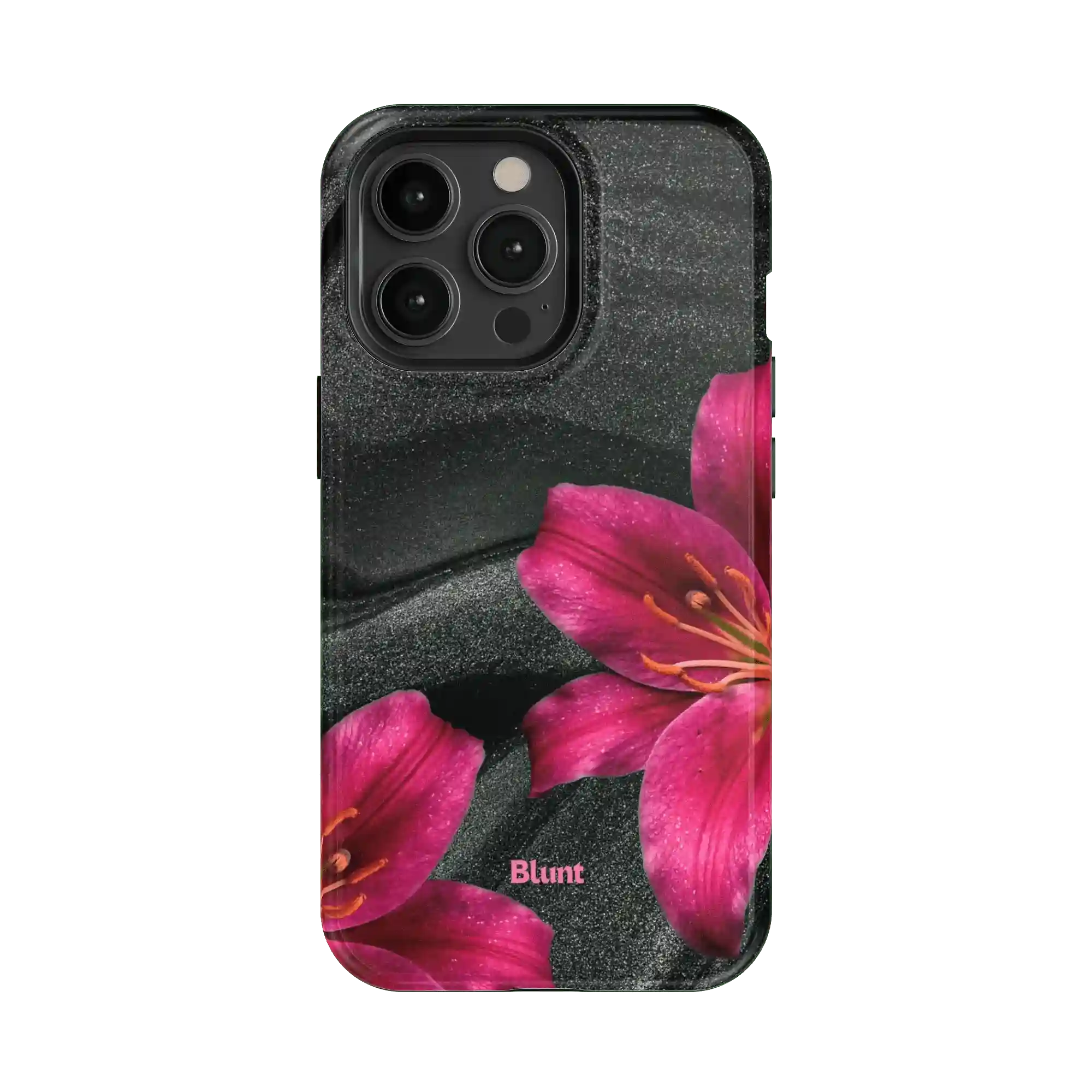 bluntcasesonline.com