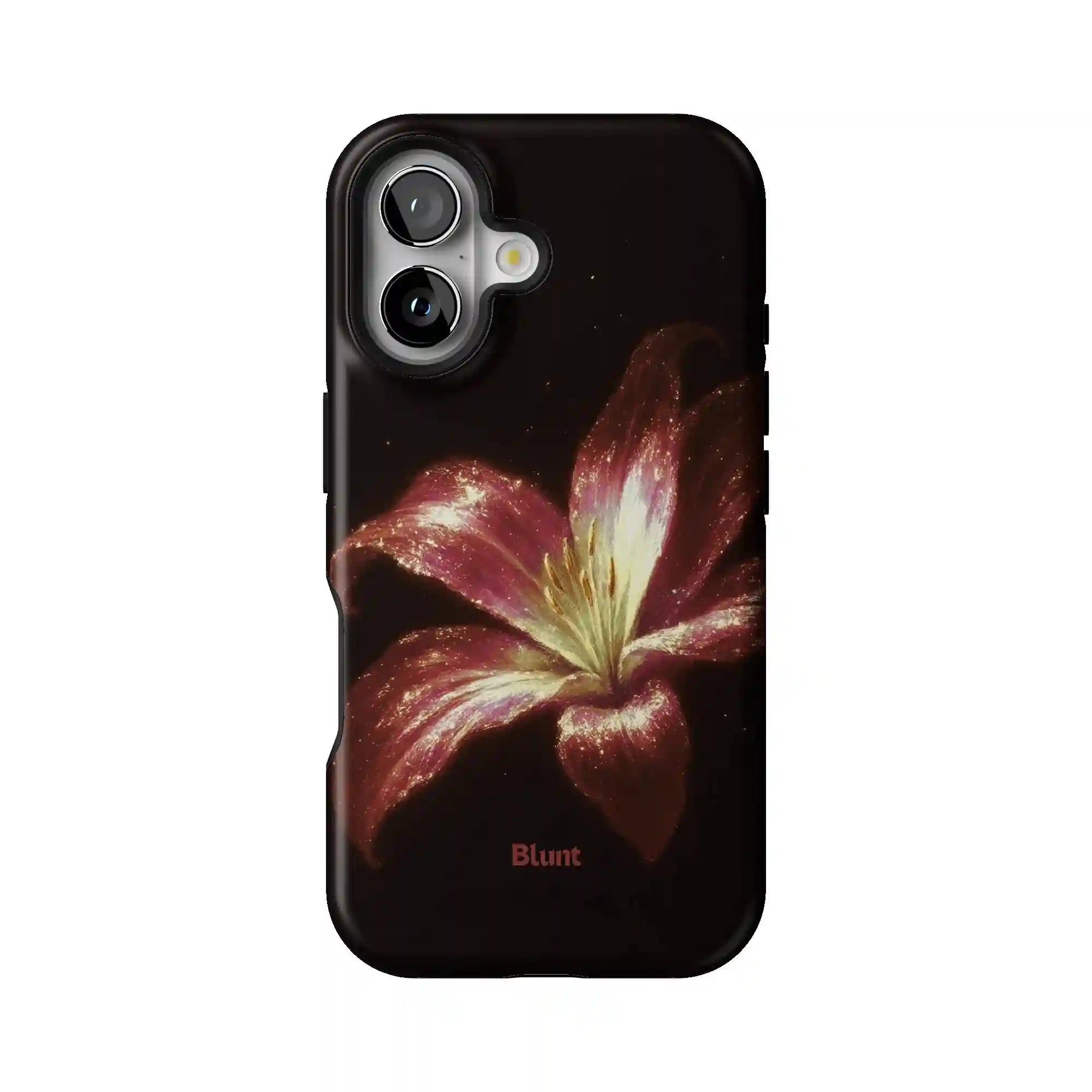 bluntcasesonline.com